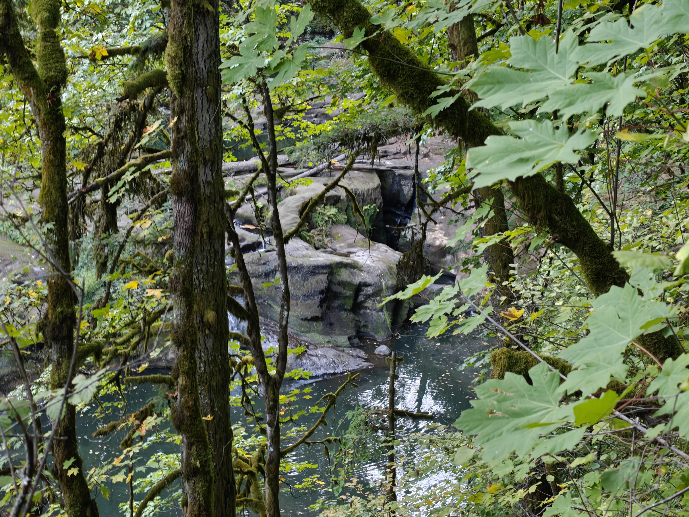 LacamasCreek101325-IMG20251013175620 LacamasCreek101325-IMG20251013175620