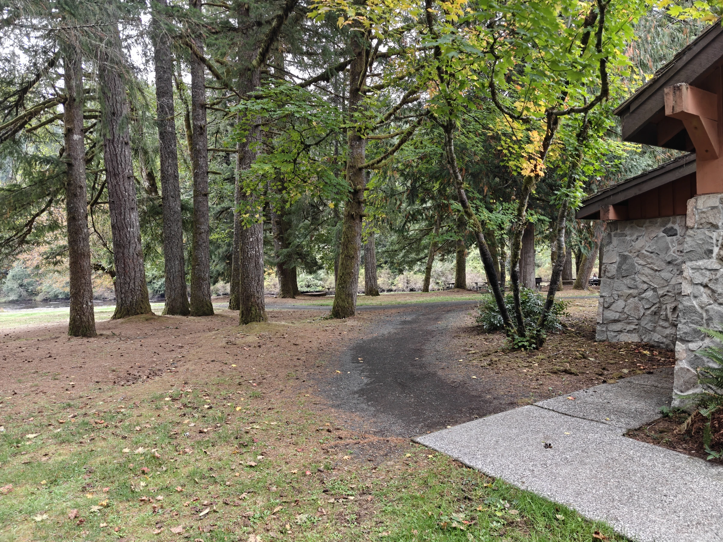 SilverFalls2025-IMG20251018150201