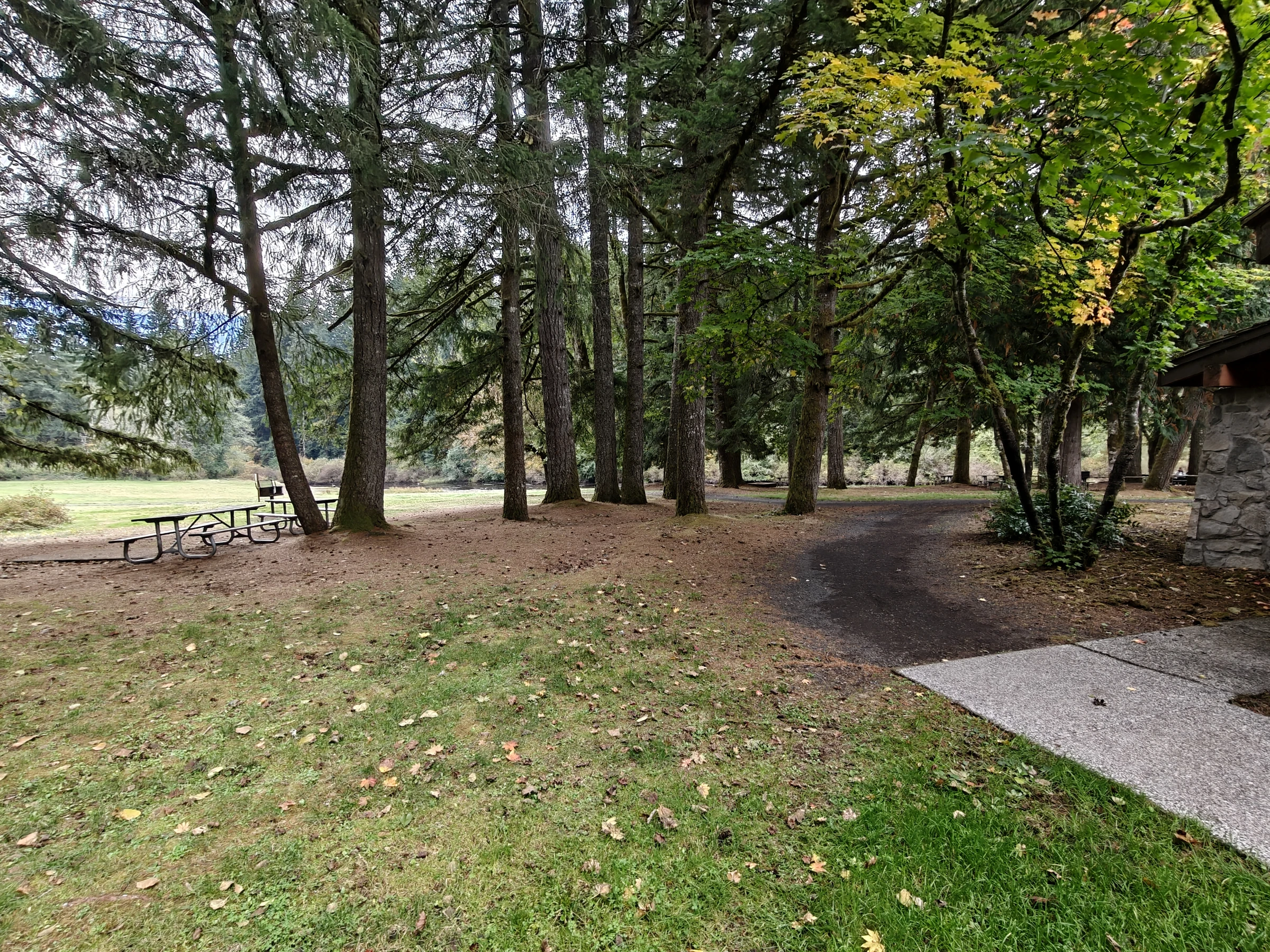 SilverFalls2025-IMG20251018150203