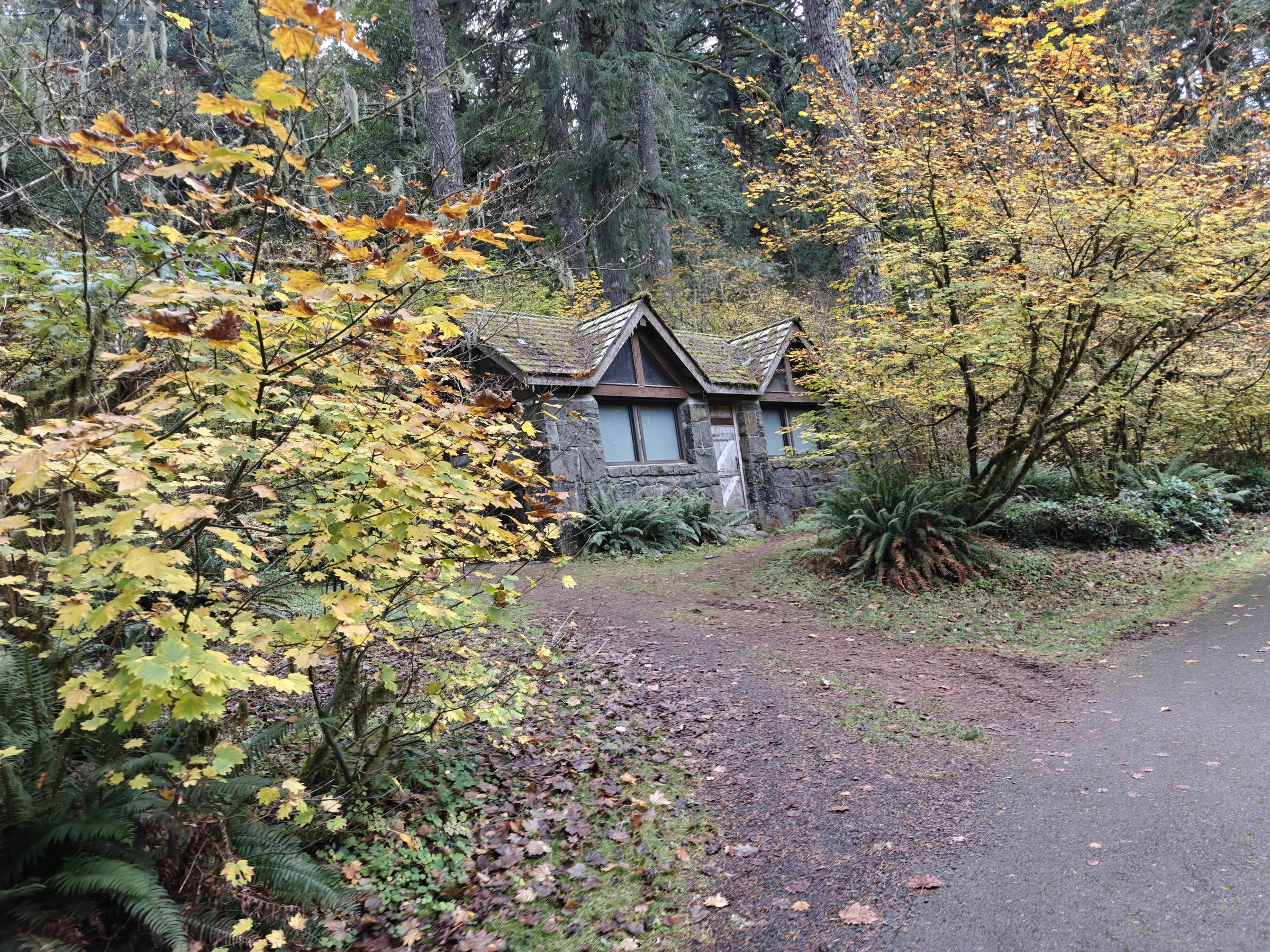 SilverFalls2025-IMG20251018150800