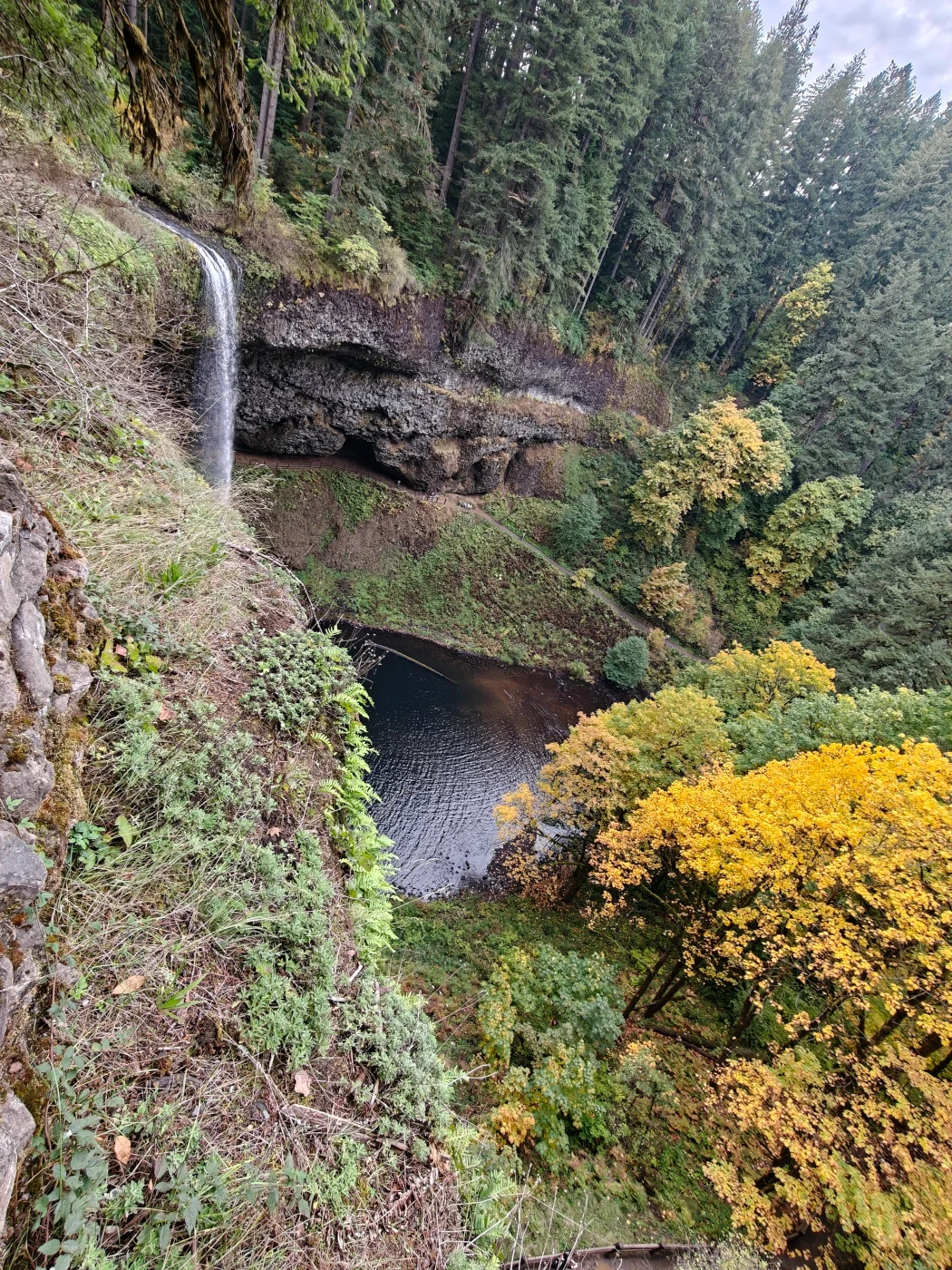 SilverFalls2025-IMG20251018151203