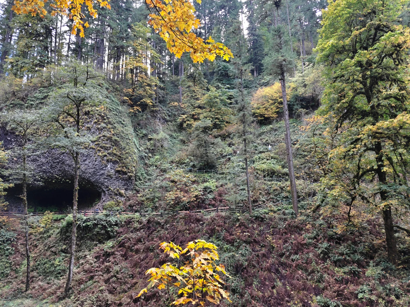 SilverFalls2025-IMG20251018154122