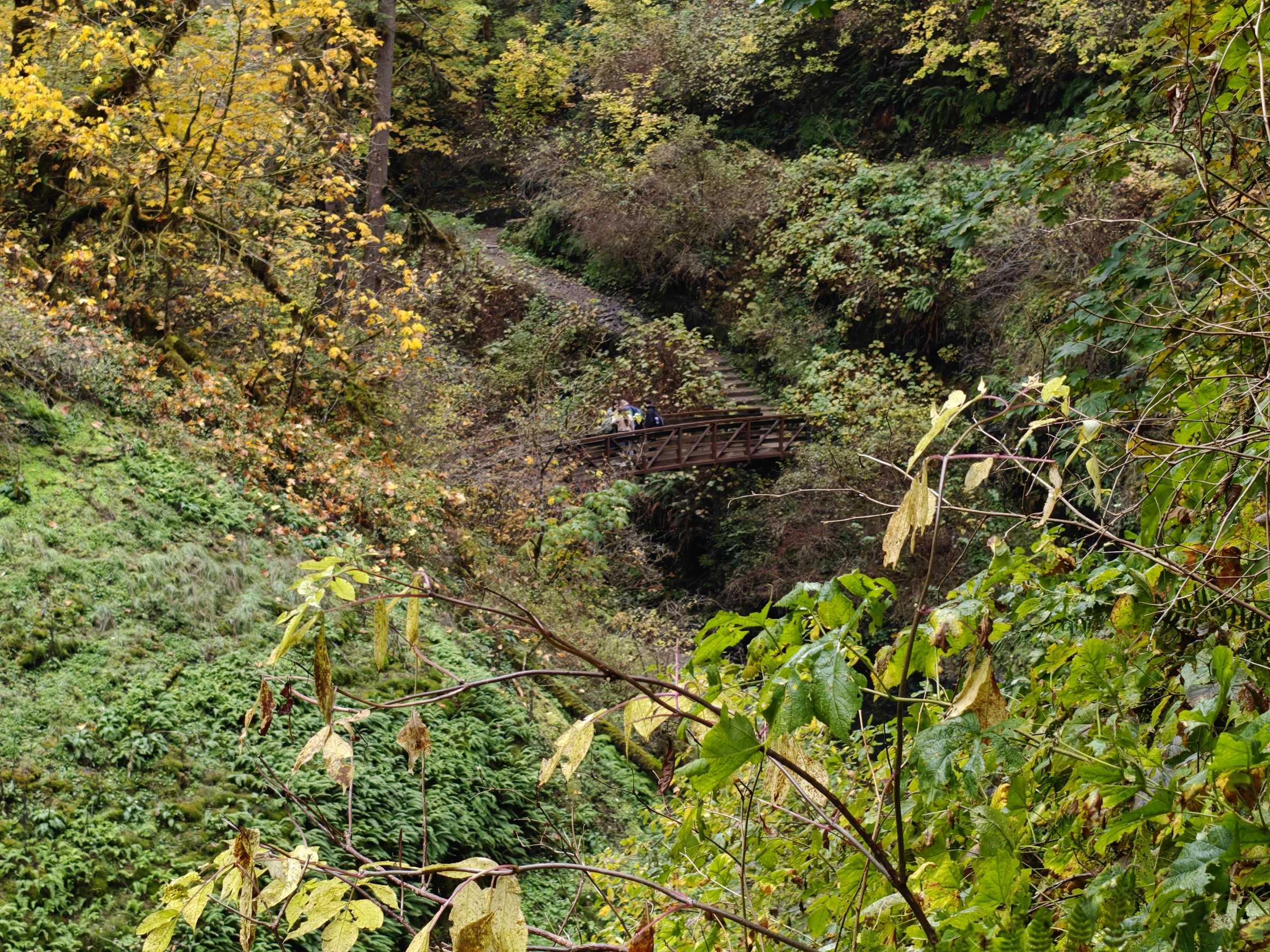 SilverFalls2025-IMG20251018155950