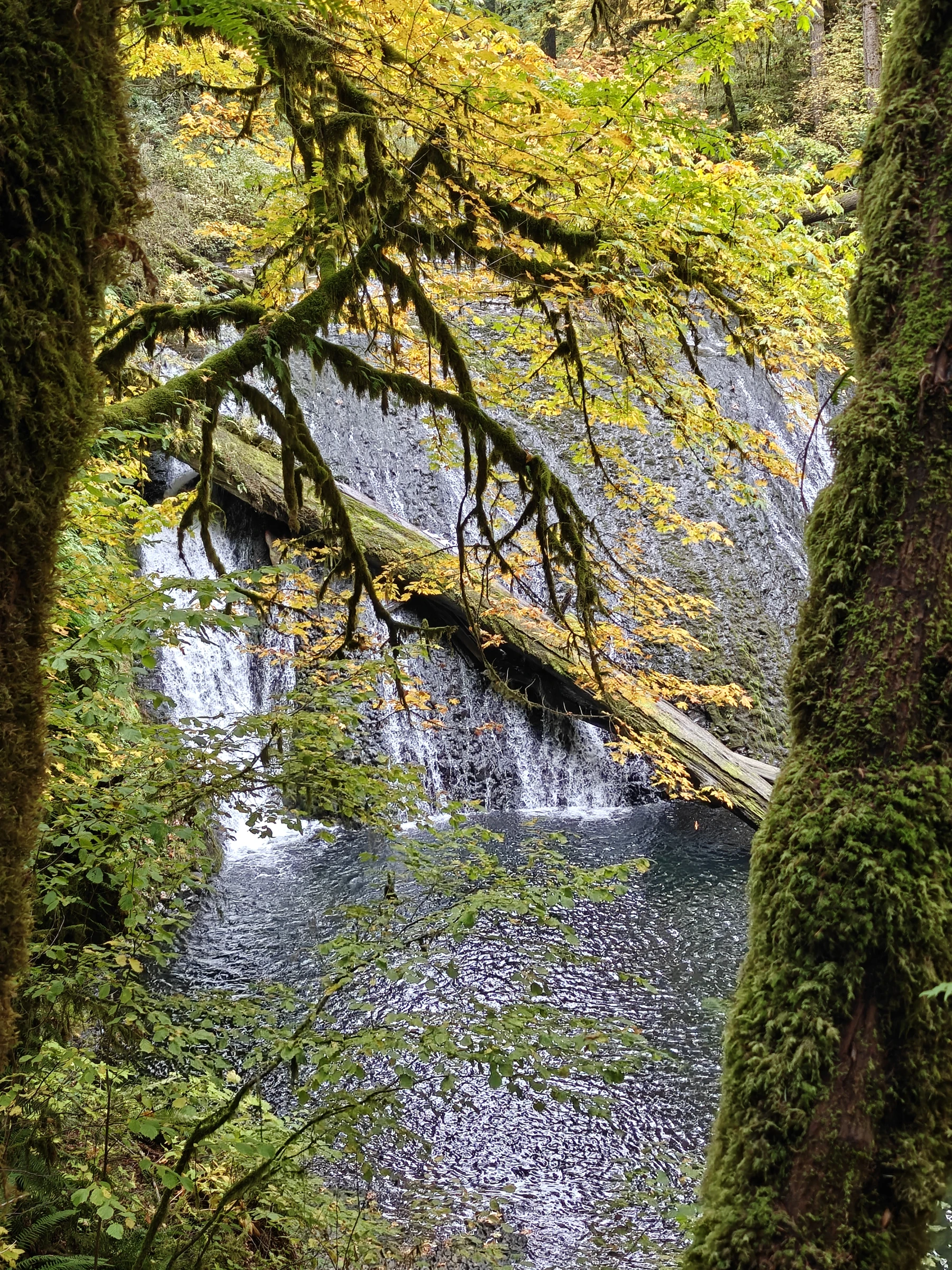 SilverFalls2025-IMG20251018160604