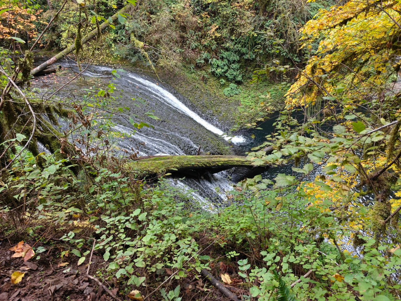 SilverFalls2025-IMG20251018160655