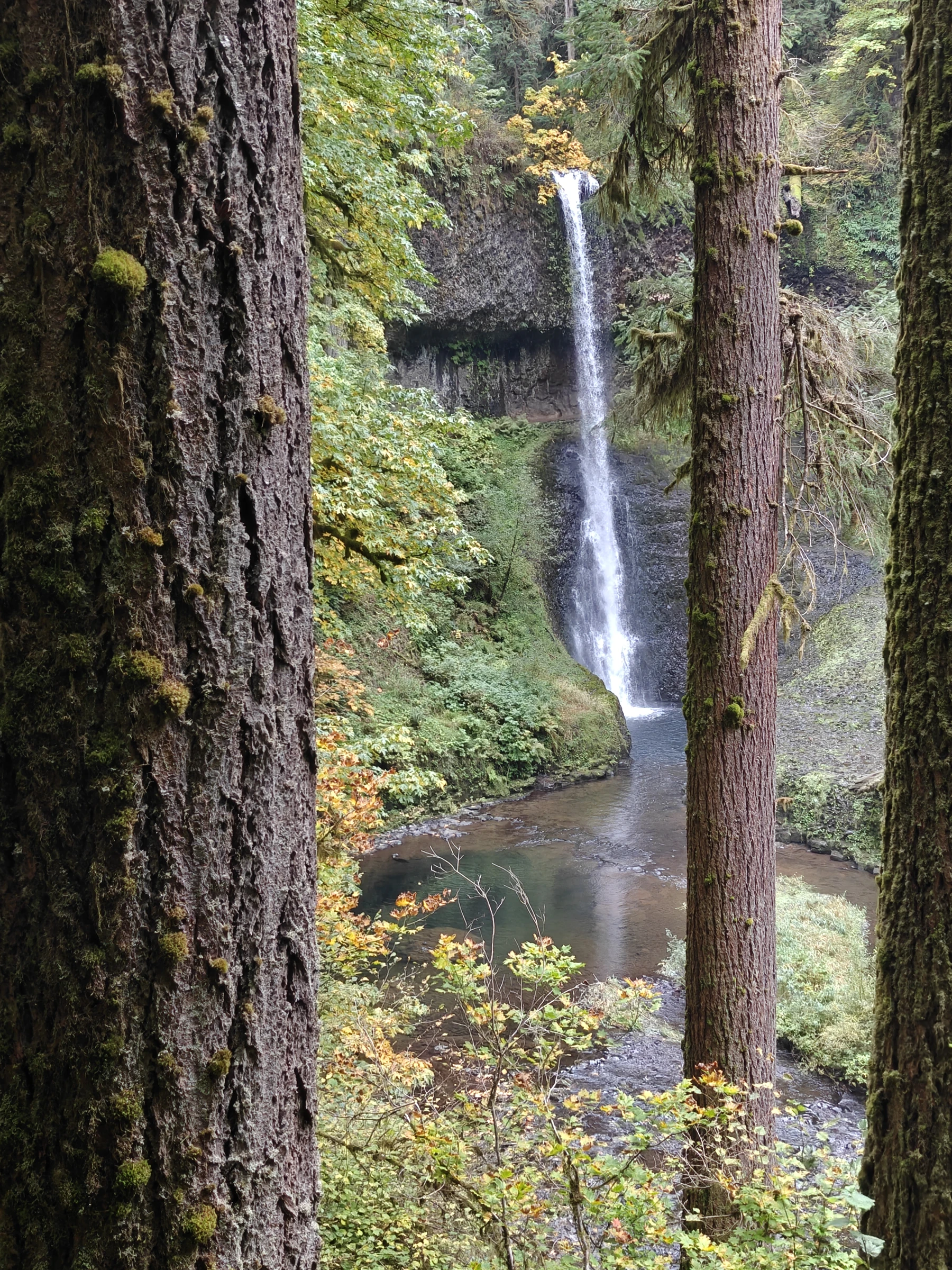 SilverFalls2025-IMG20251018161745