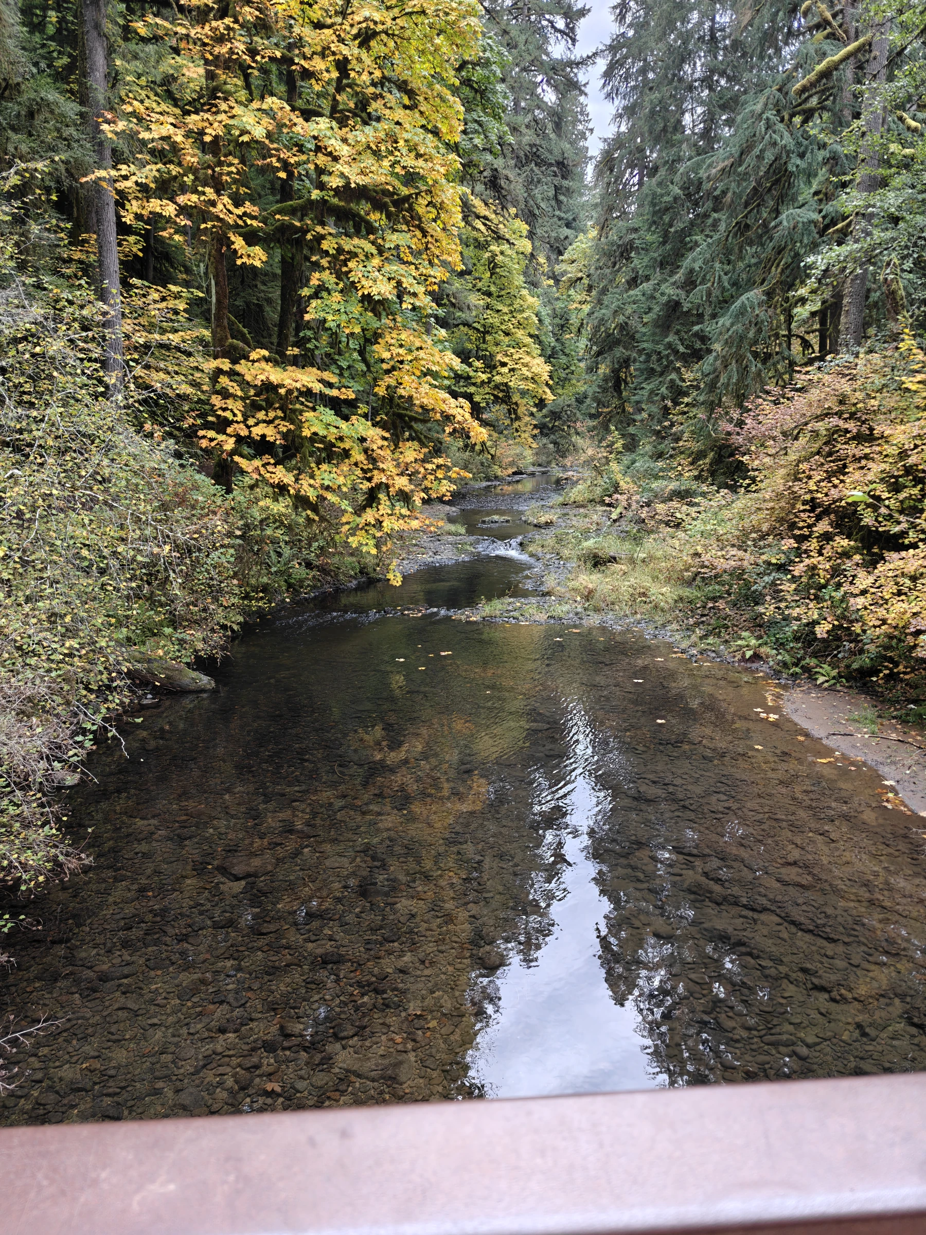 SilverFalls2025-IMG20251018162602