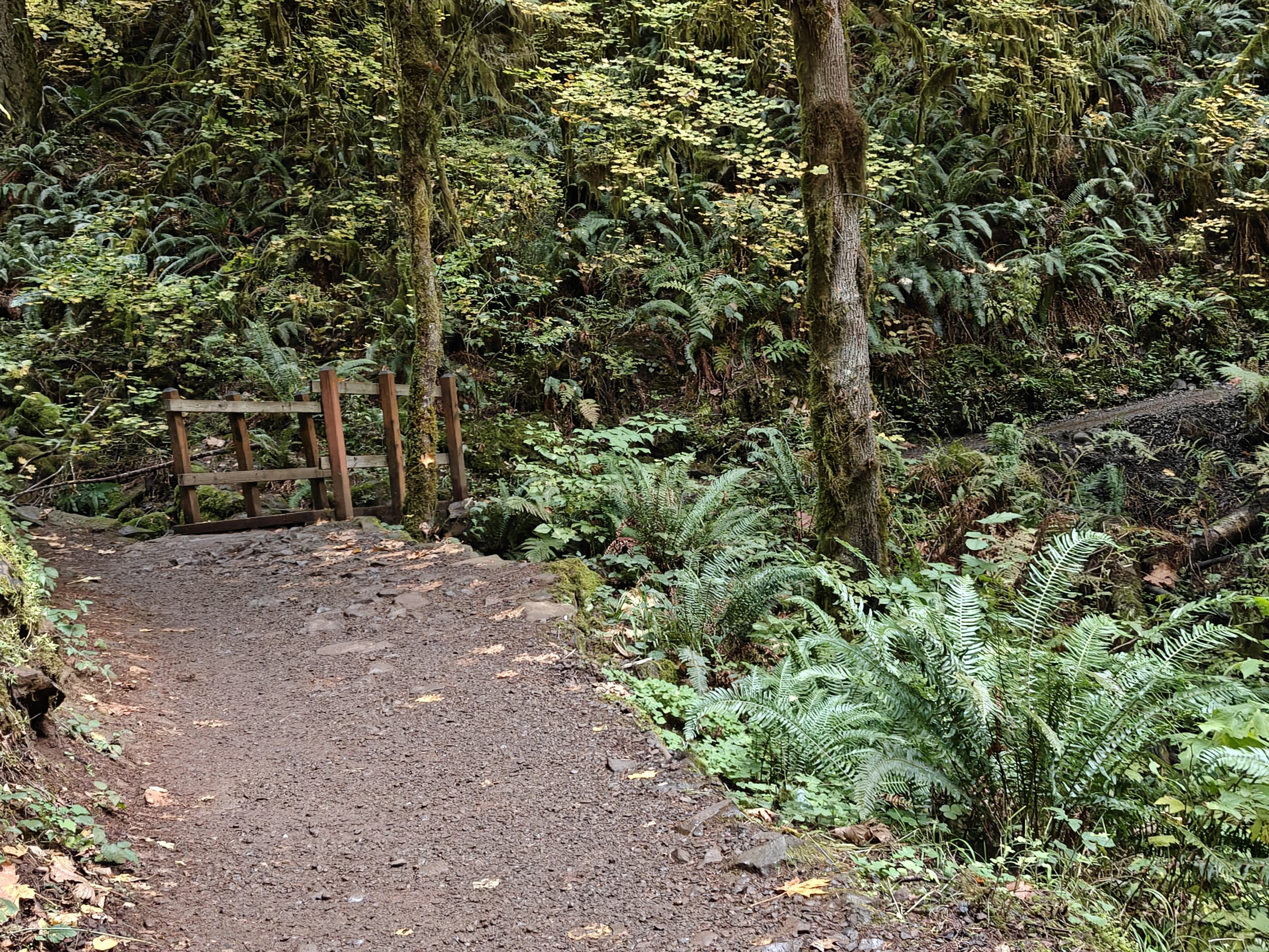 SilverFalls2025-IMG20251018163029