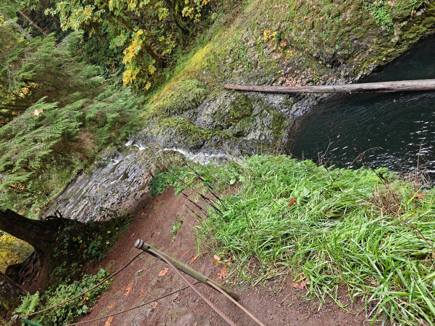 SilverFalls2025-IMG20251018163329