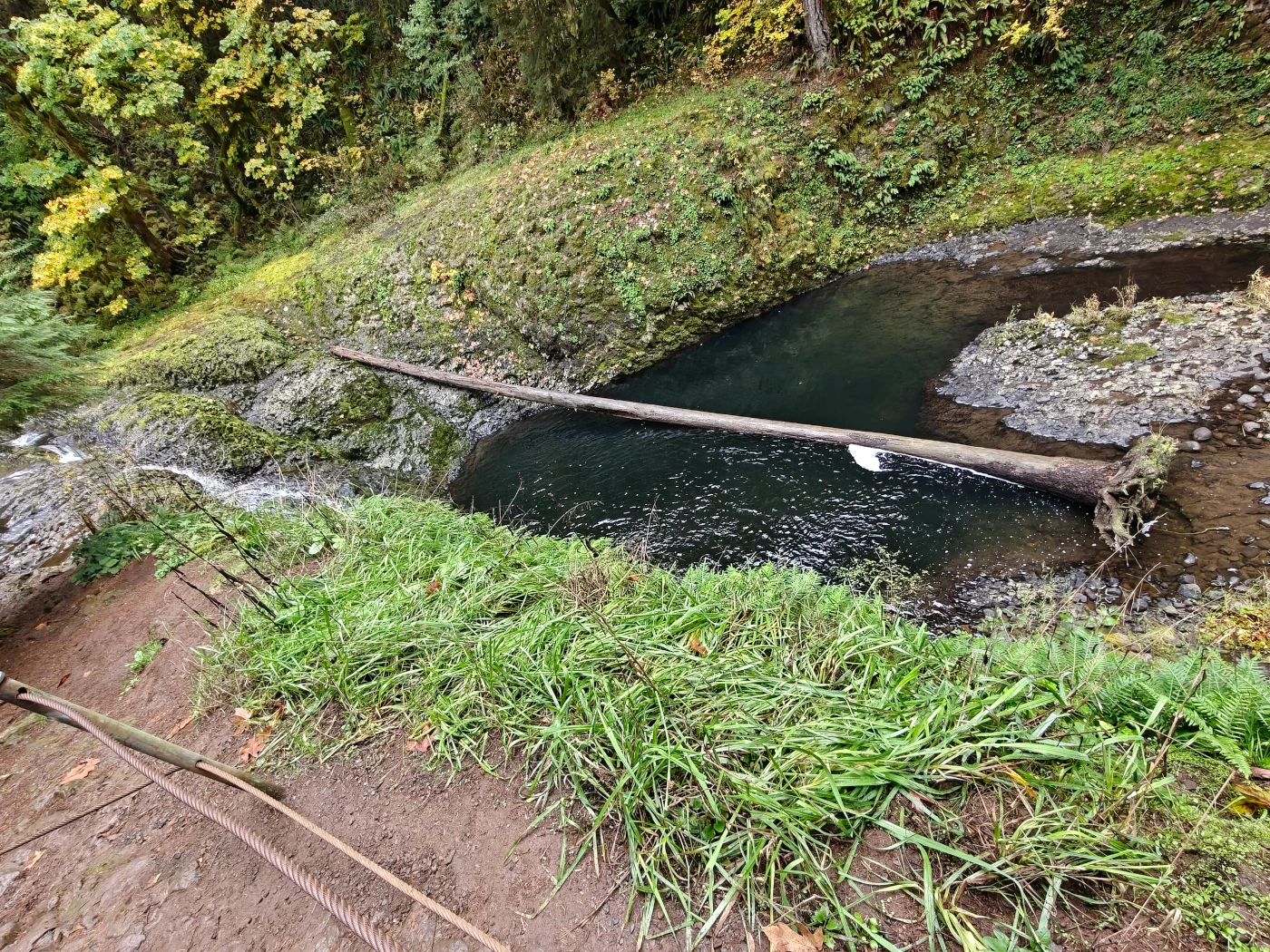 SilverFalls2025-IMG20251018163333