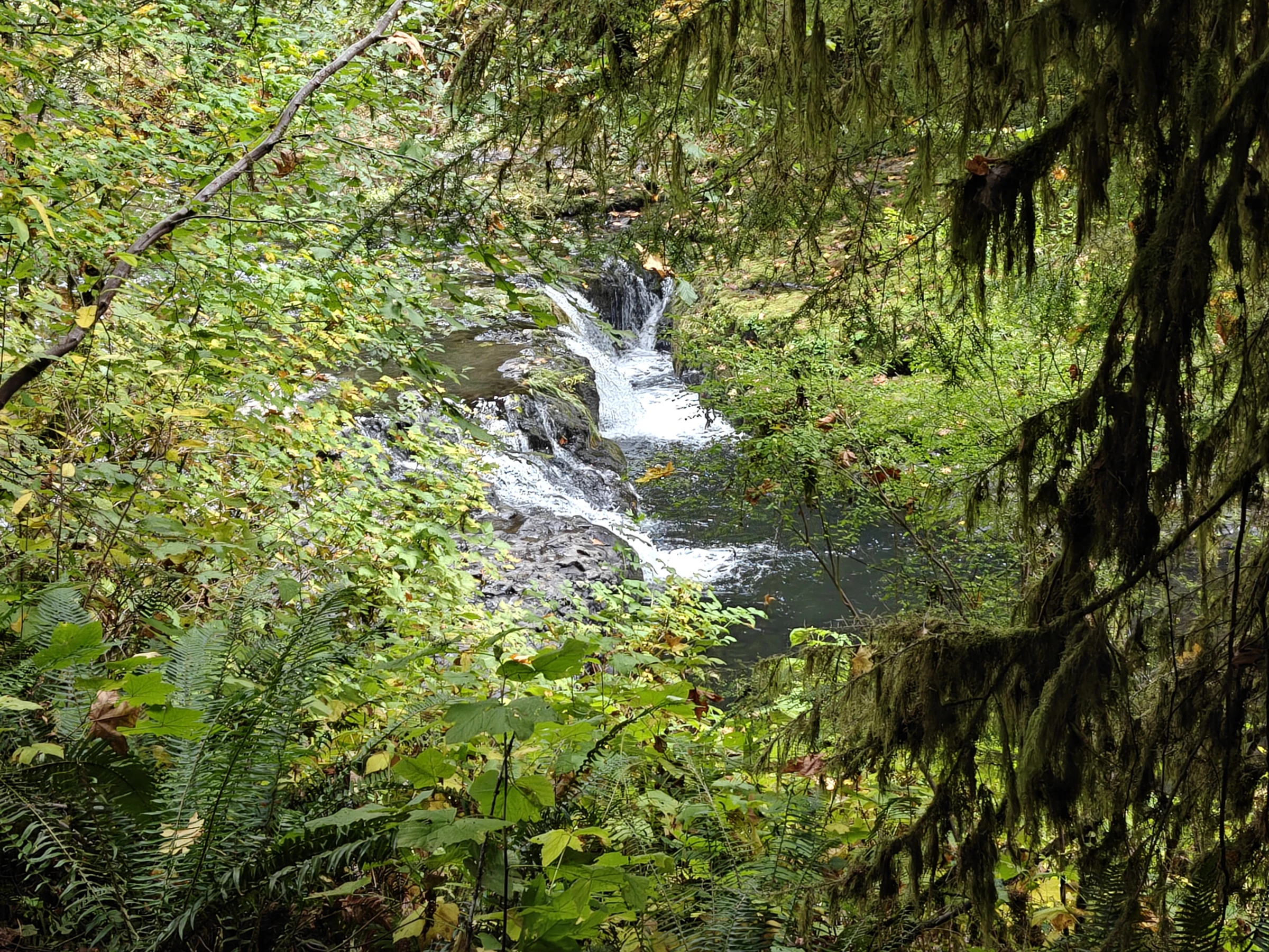 SilverFalls2025-IMG20251018164202
