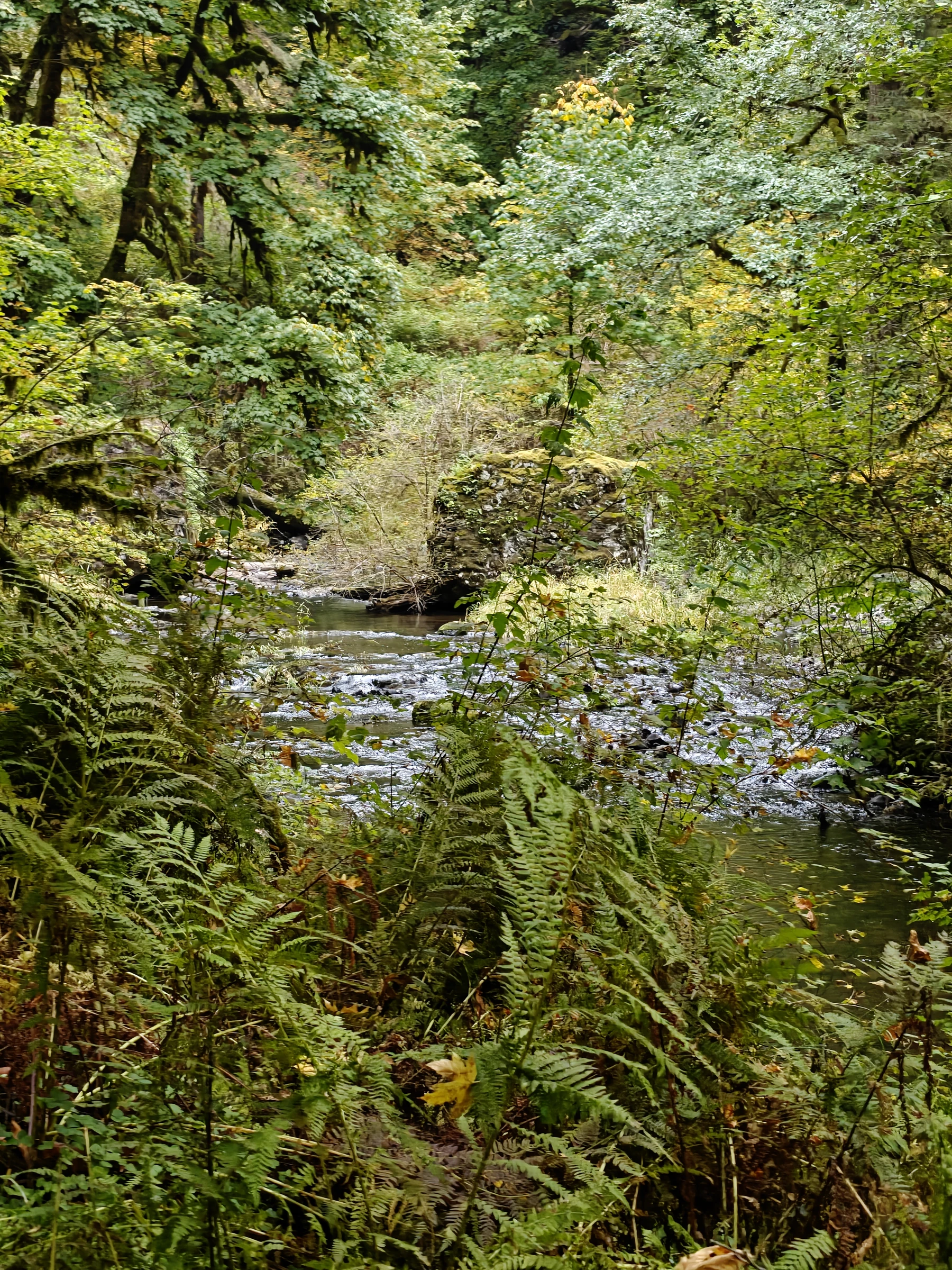 SilverFalls2025-IMG20251018164448