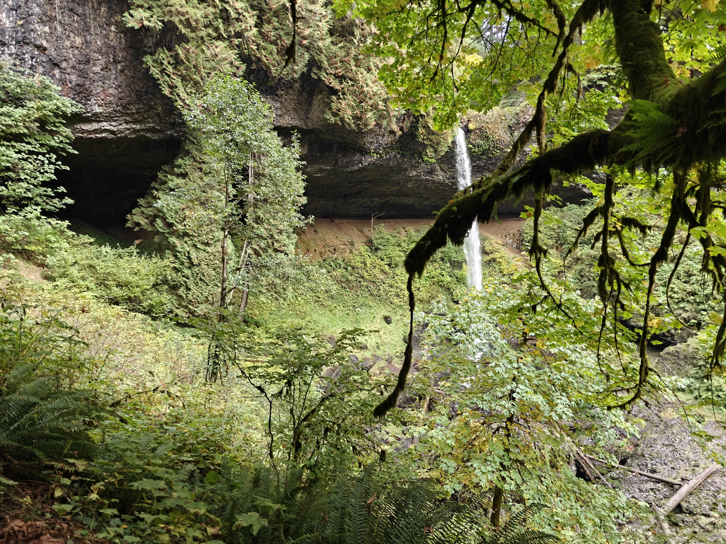 SilverFalls2025-IMG20251018165332