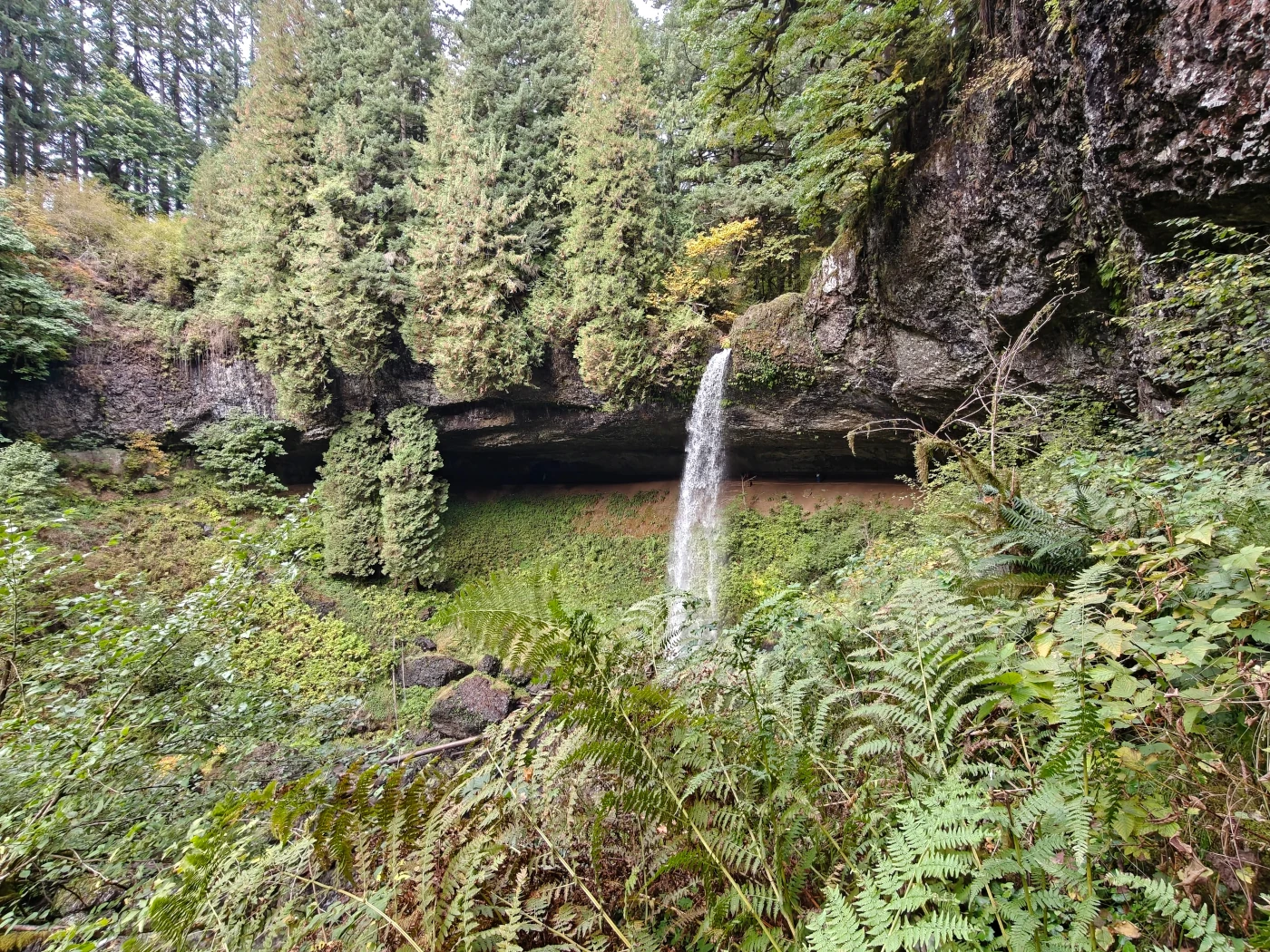SilverFalls2025-IMG20251018165709