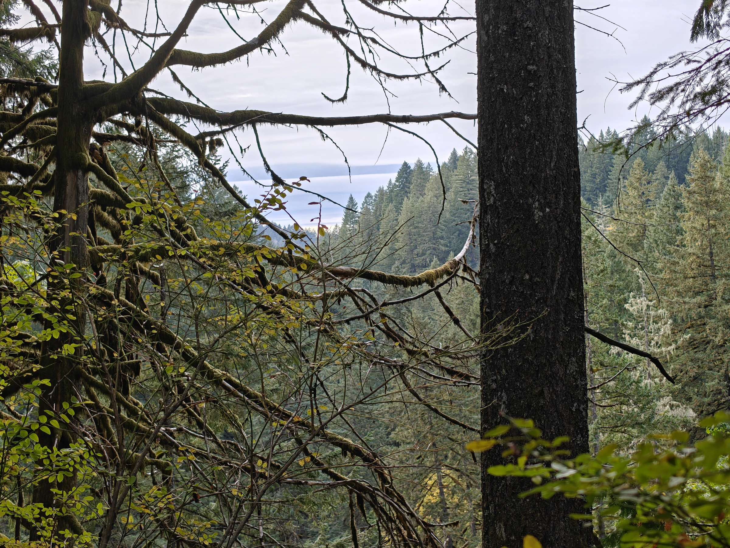 SilverFalls2025-IMG20251018170442