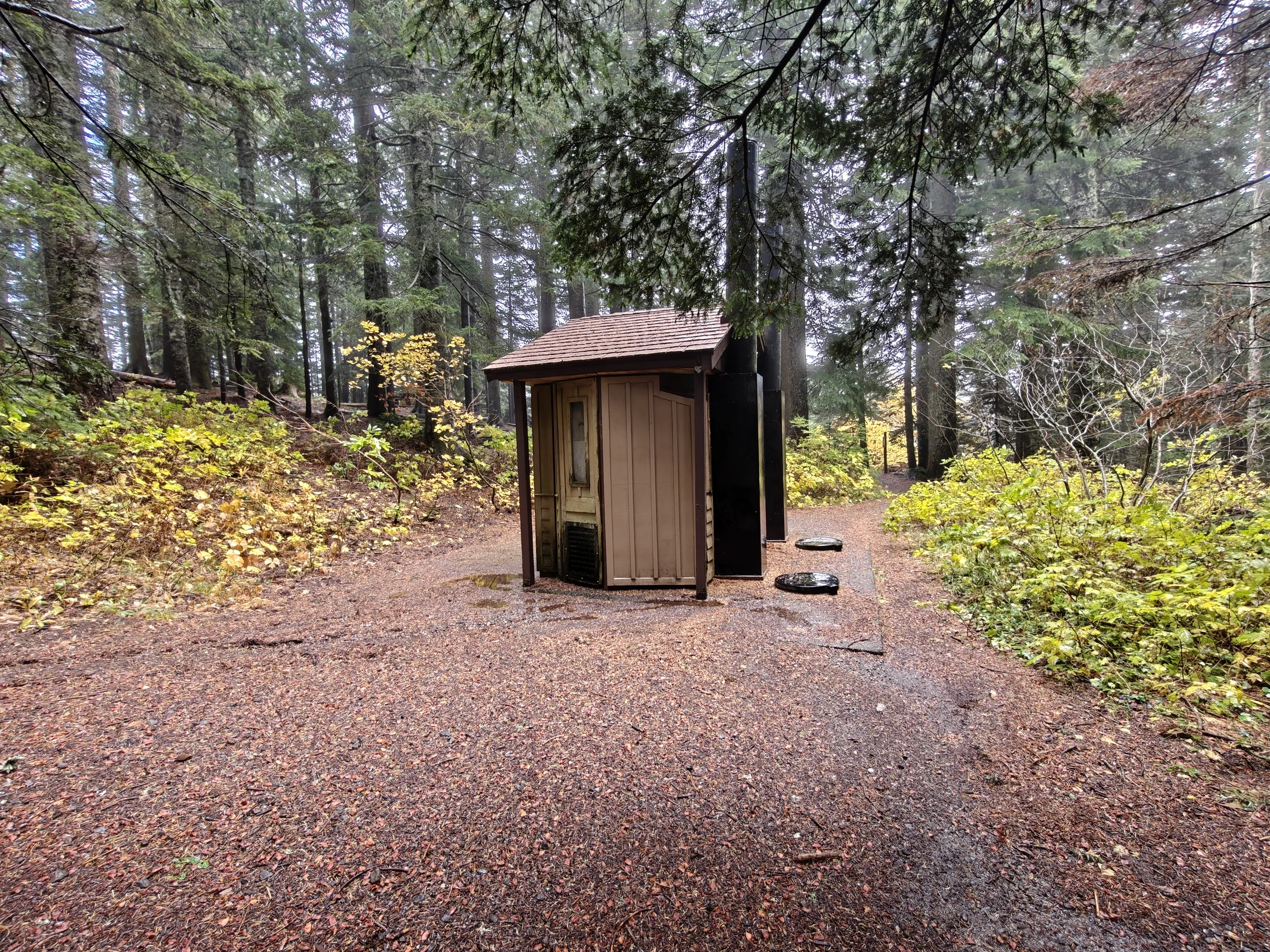 larchMountain-IMG20251025120034