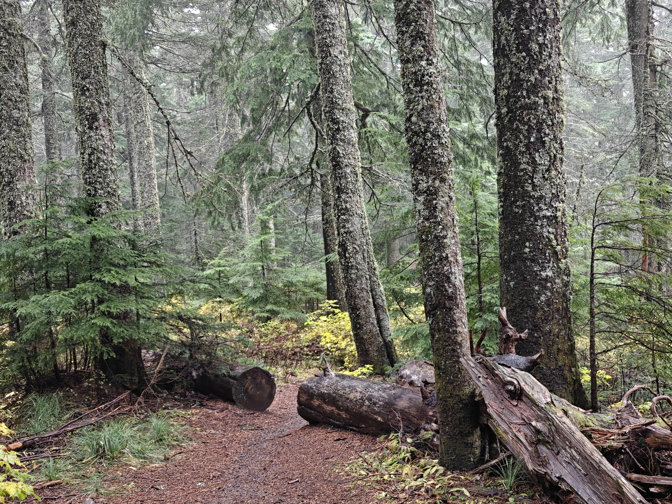 larchMountain-IMG20251025122124
