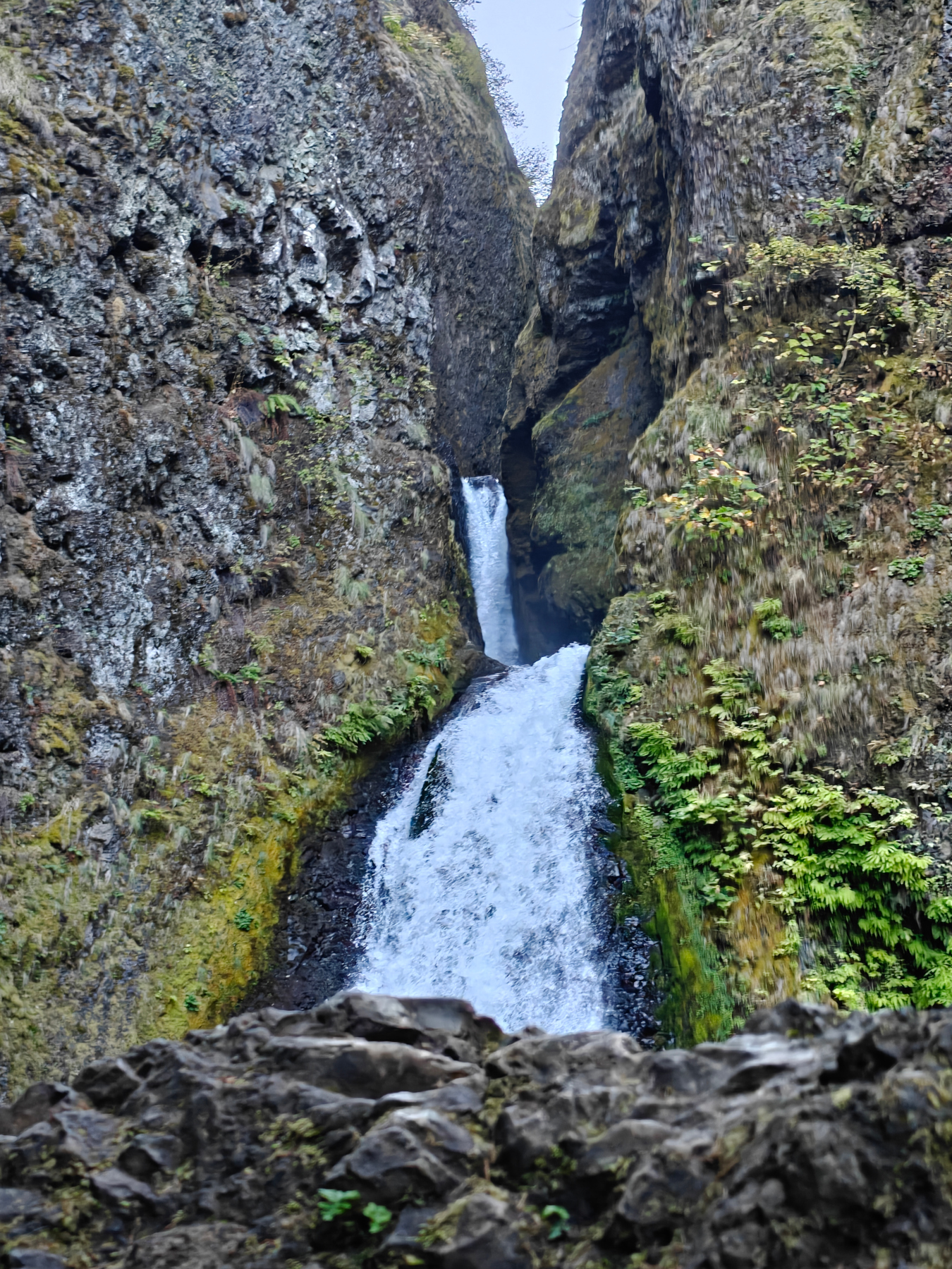 Wahclella Falls, Oregon