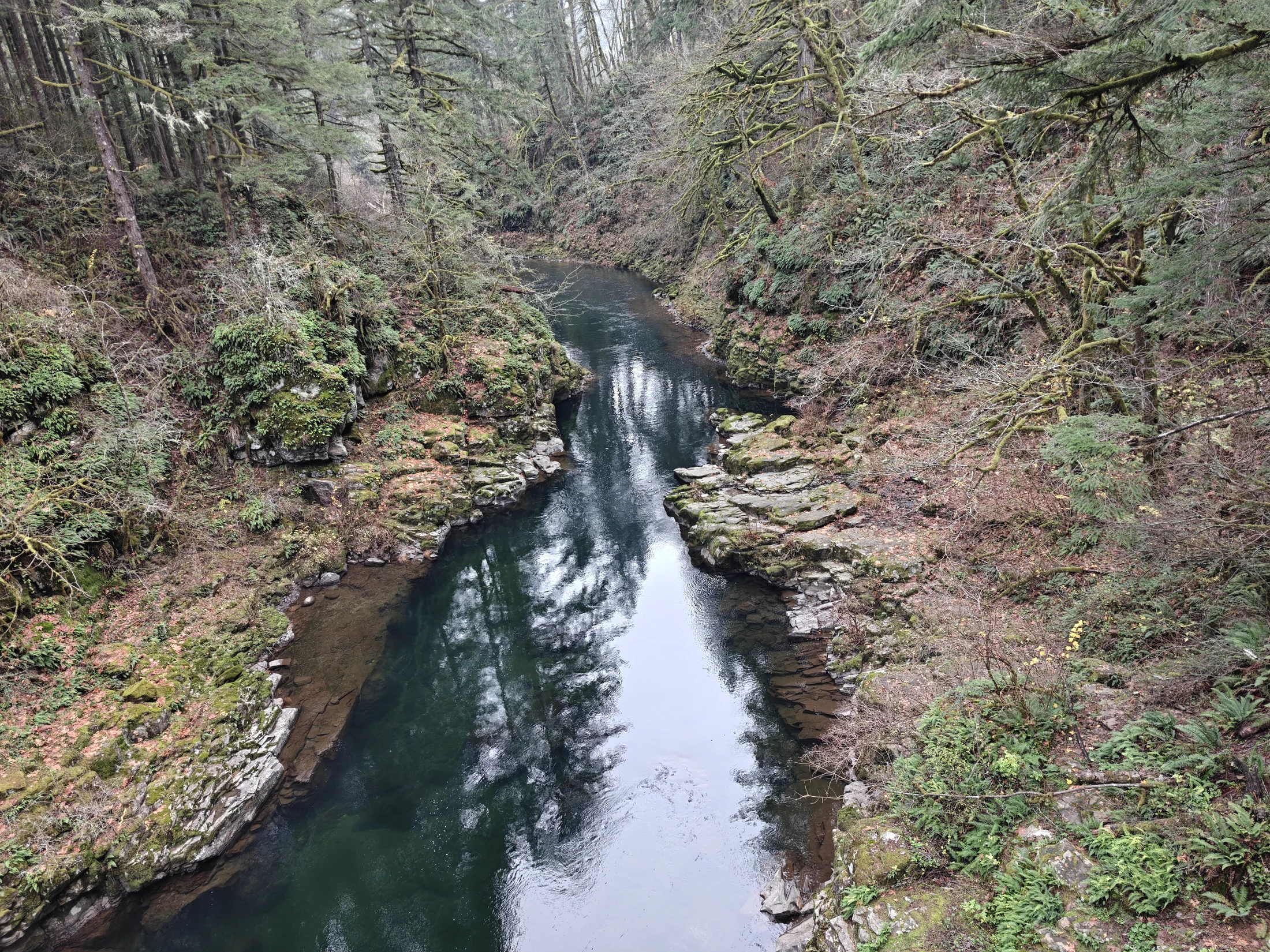 MoultonFalls--IMG20251122143545