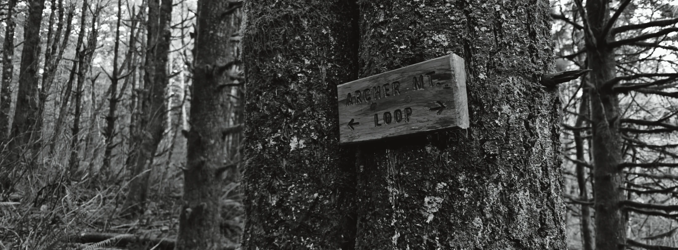 Archer Loop Sign