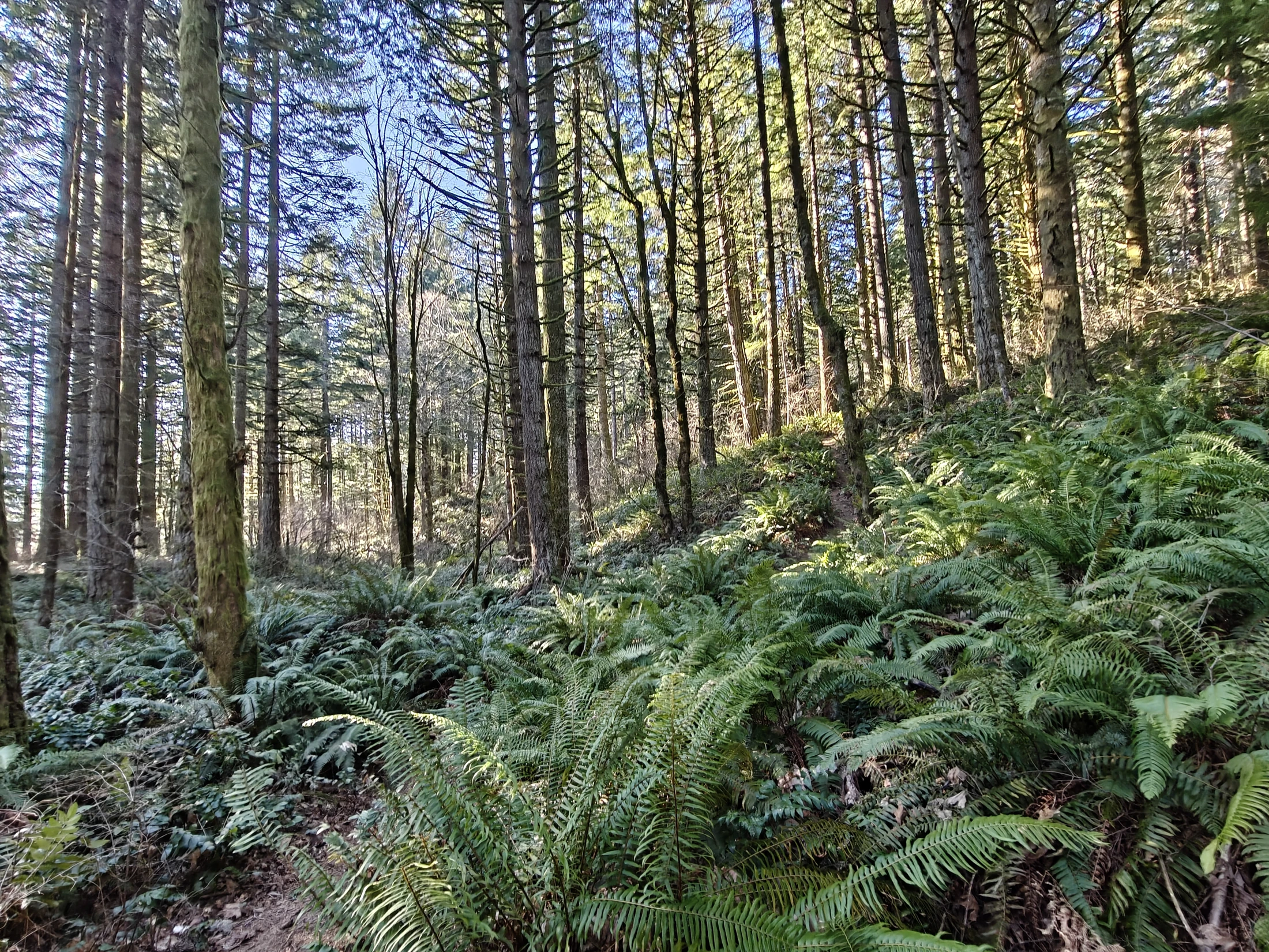 CedarAldrich-IMG20260124121511