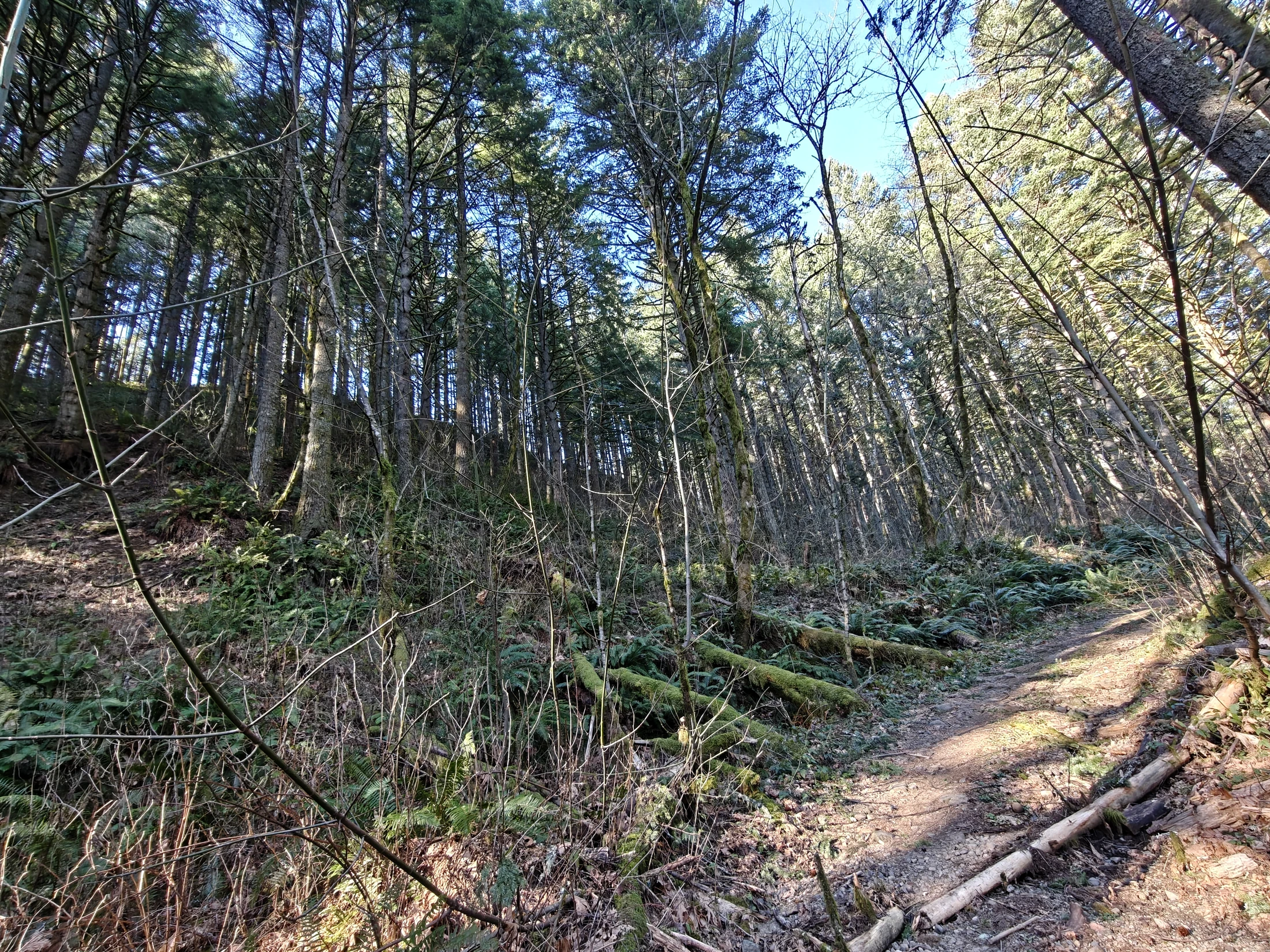 CedarAldrich-IMG20260124123219