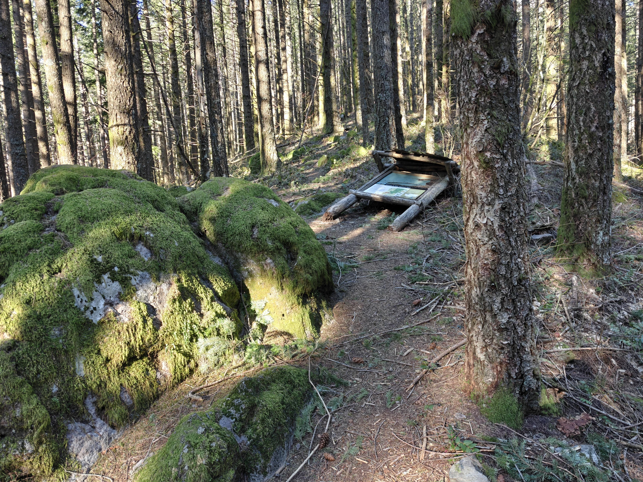 CedarAldrich-IMG20260124140328