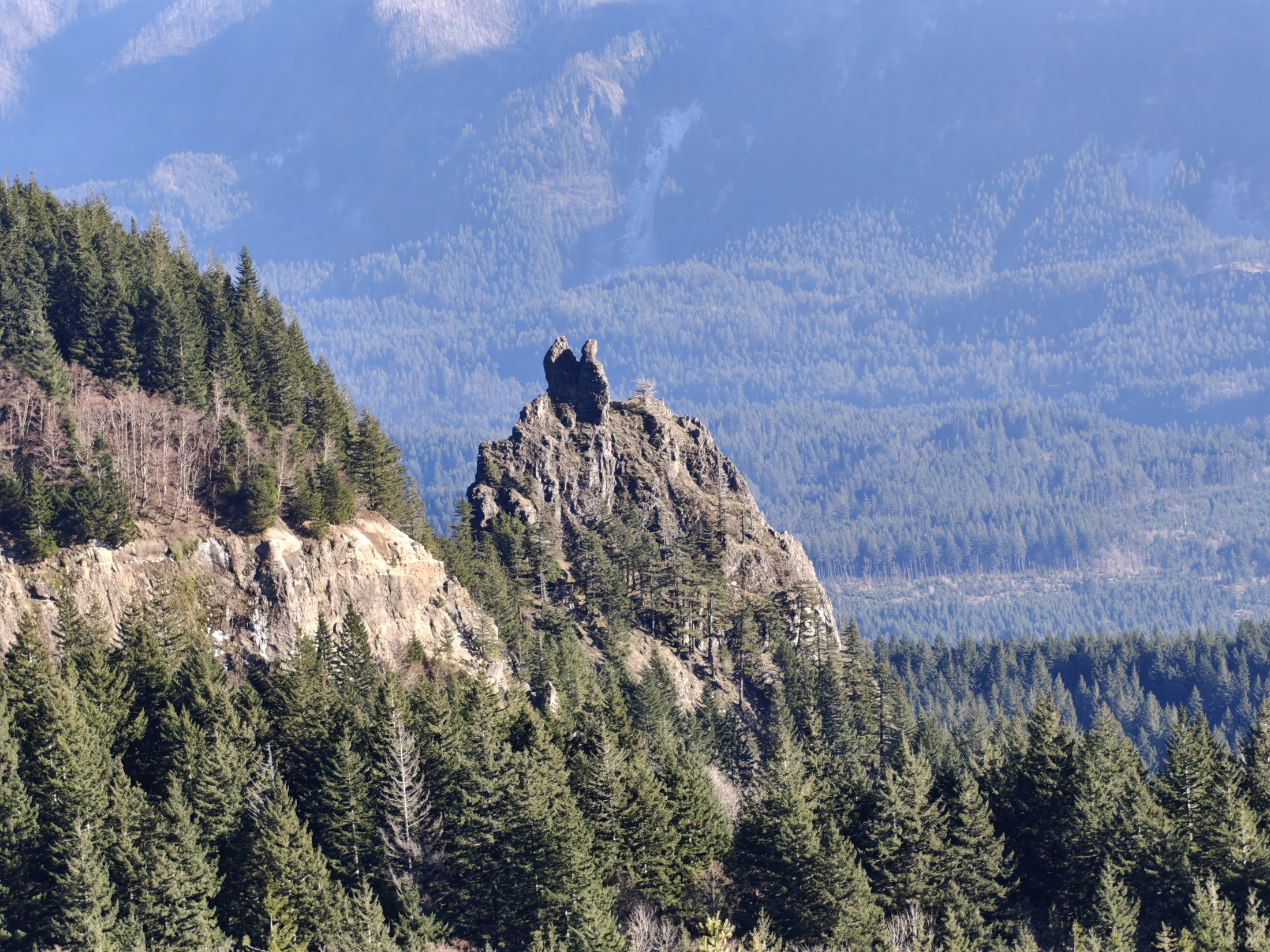 CedarAldrich-IMG20260124142012