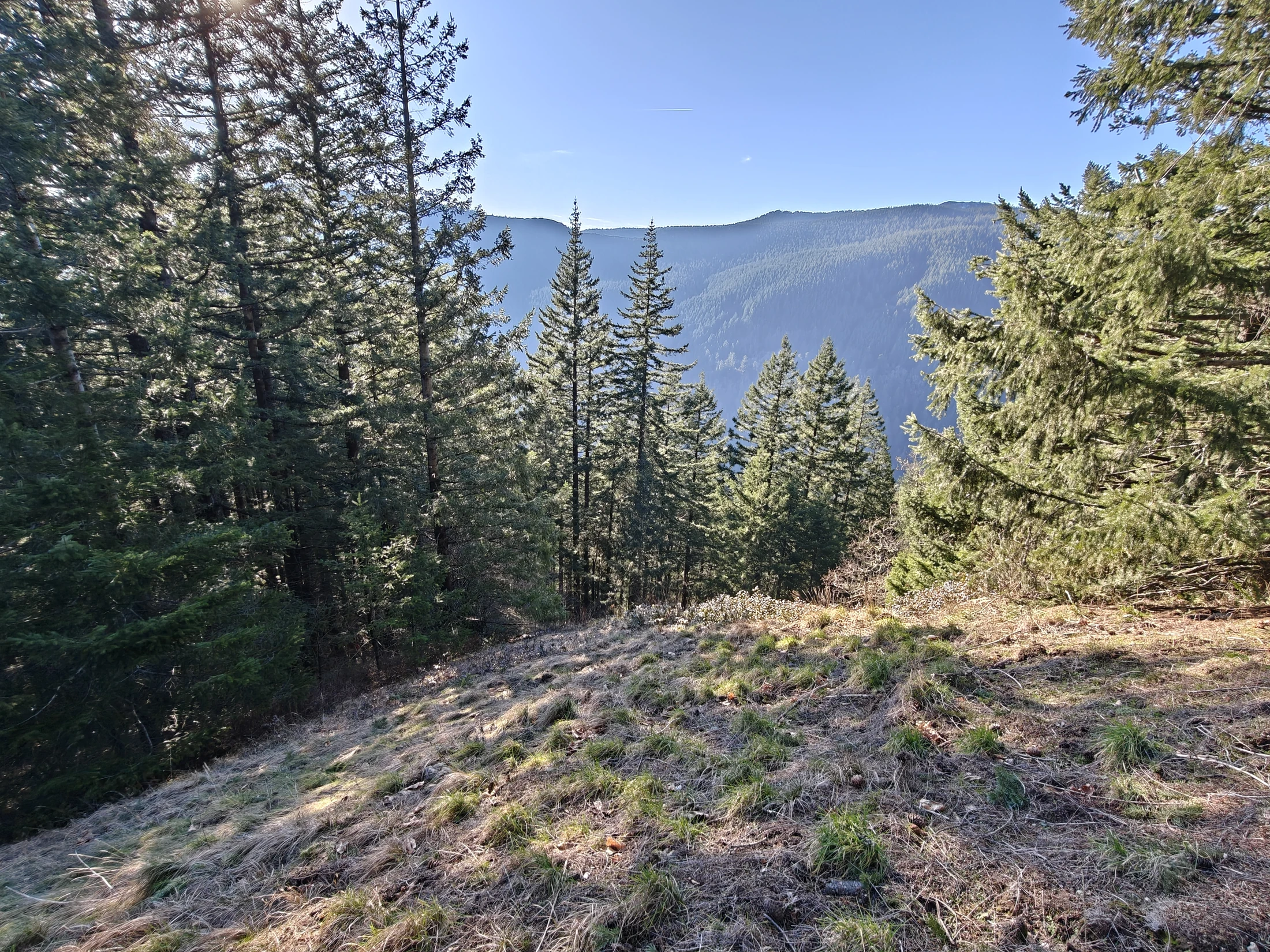 CedarAldrich-IMG20260124145303