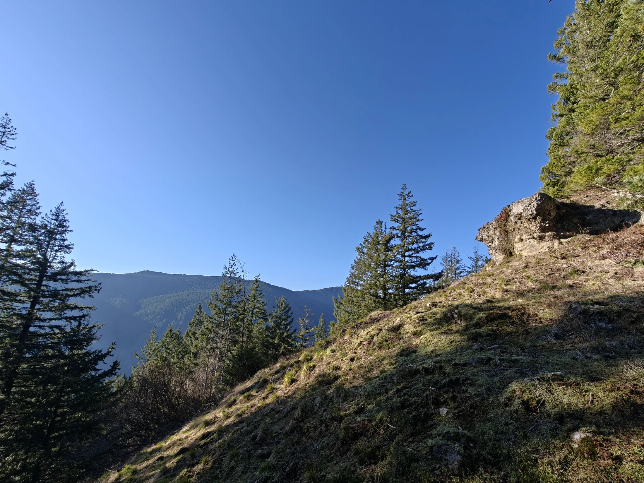 CedarAldrich-IMG20260124150654