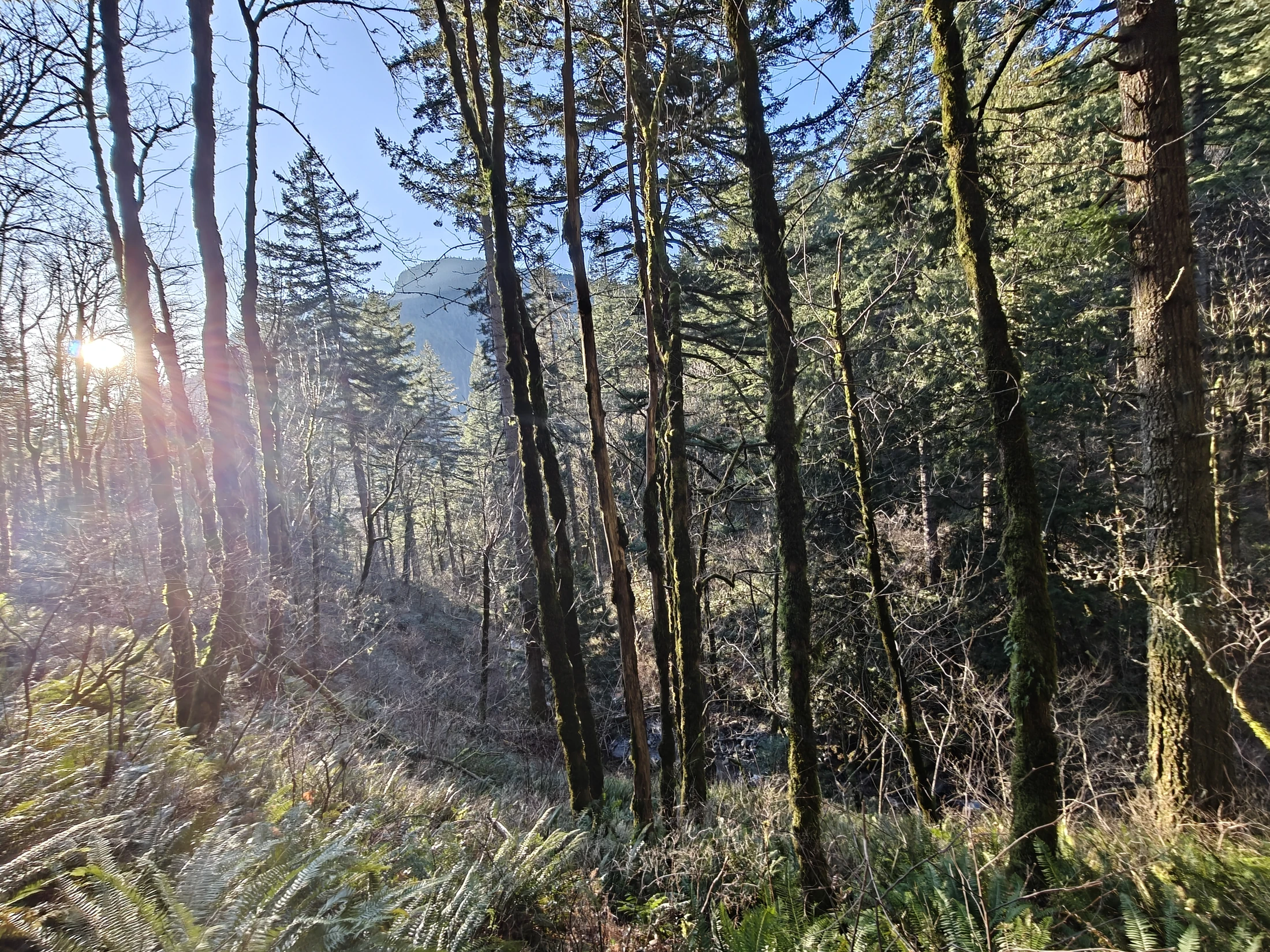 CedarAldrich-IMG20260124155330
