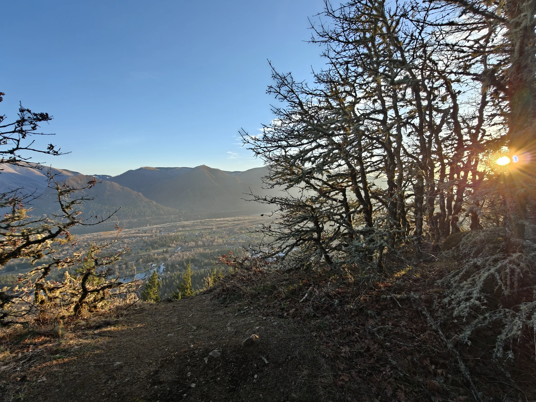 CedarAldrich-IMG20260124163146