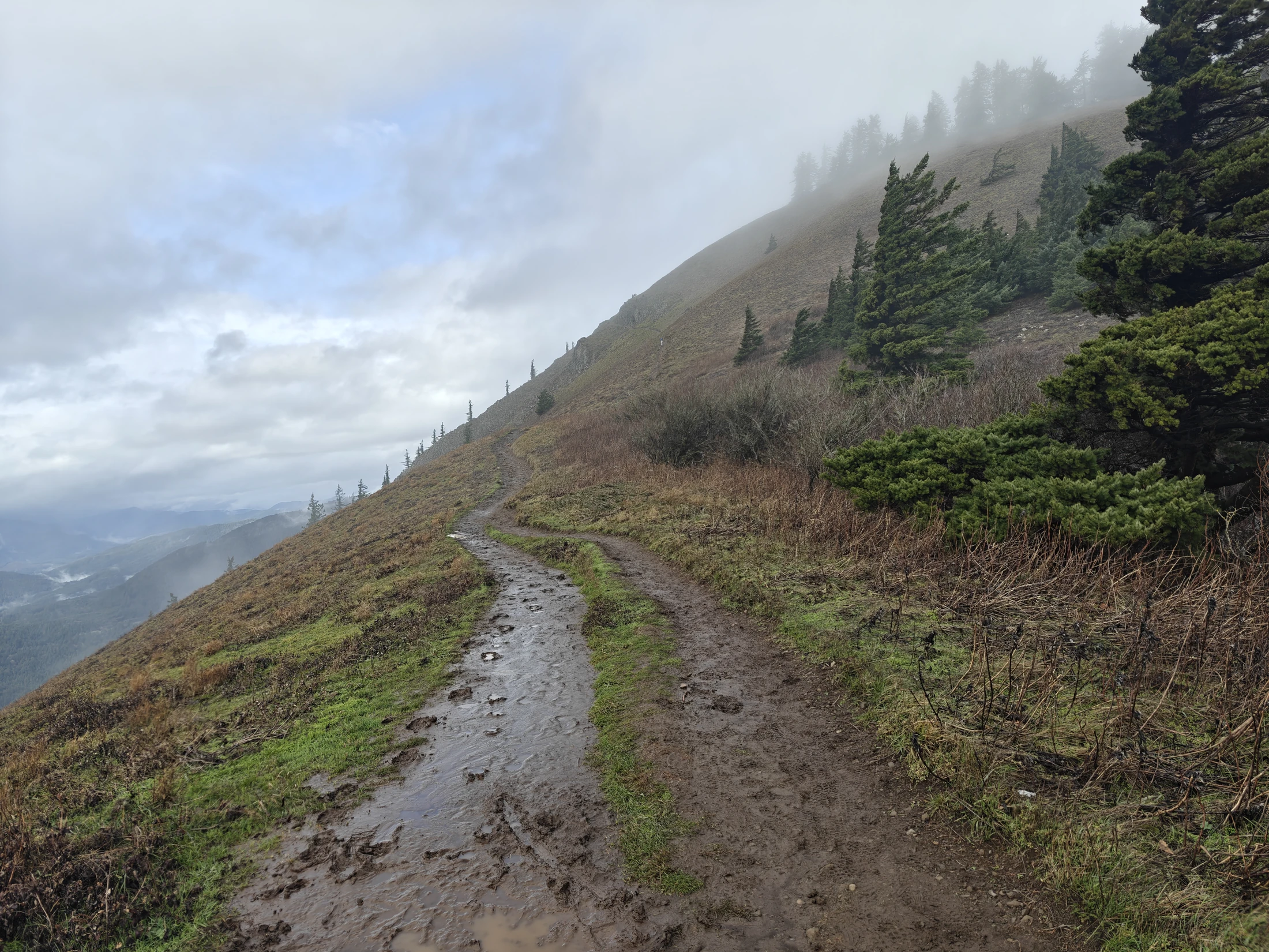 dogMtn-IMG20260104124117