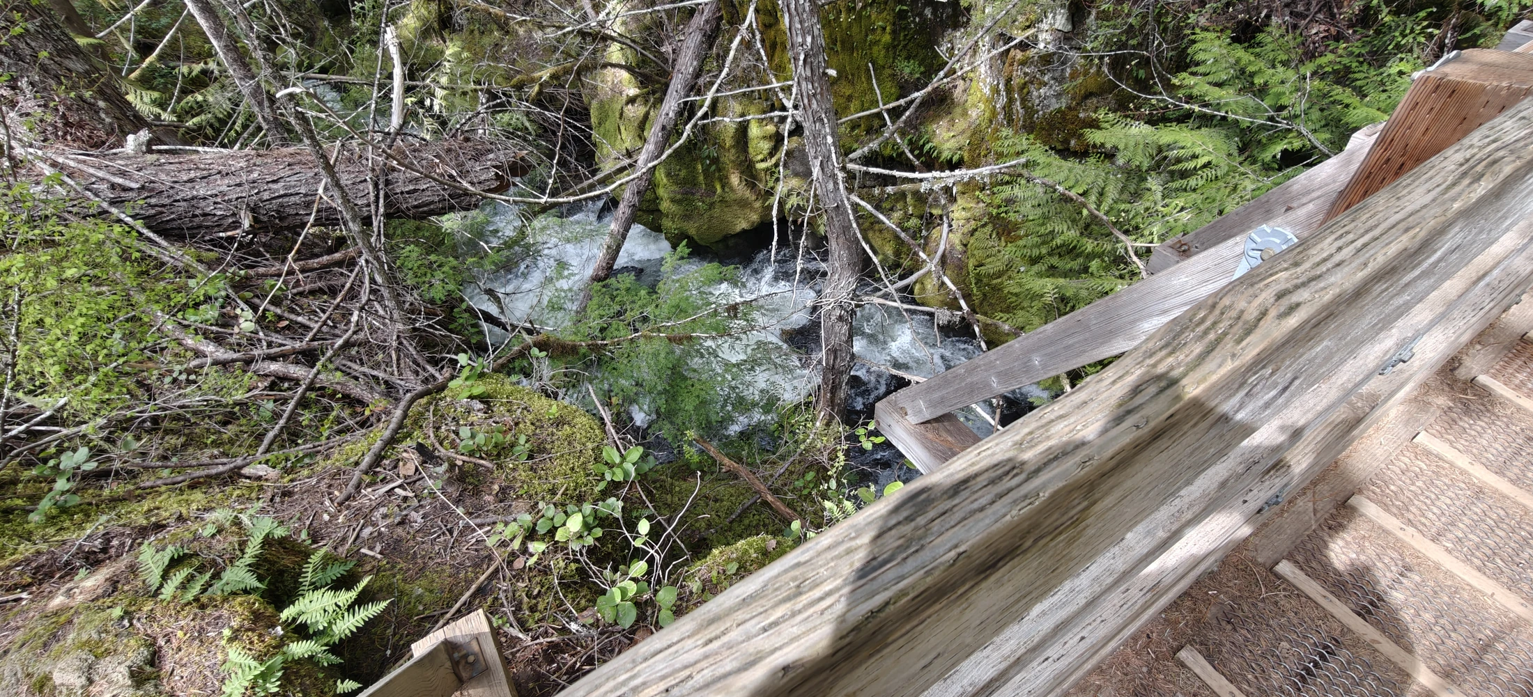 IMG20260419122940
