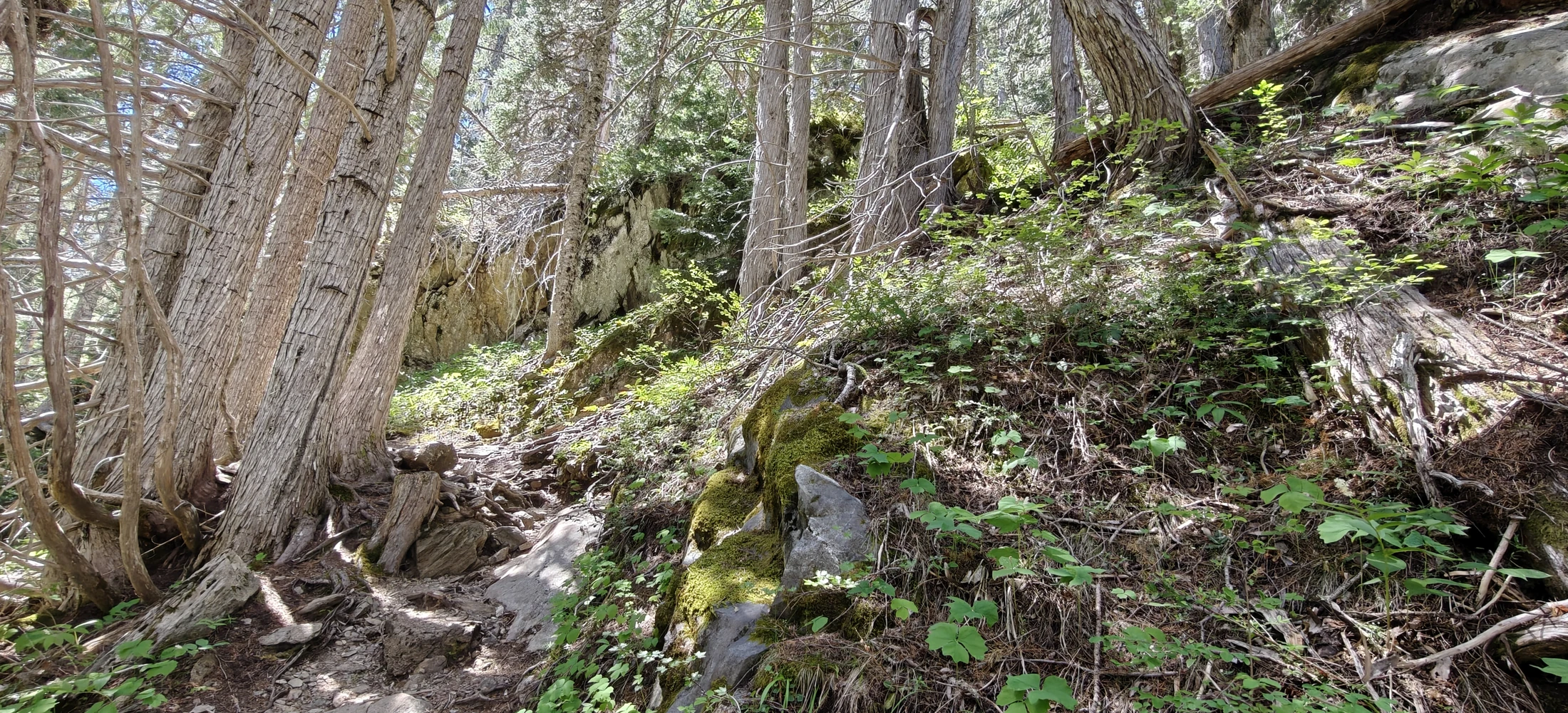 olyRoyalBasin-IMG20260622130016