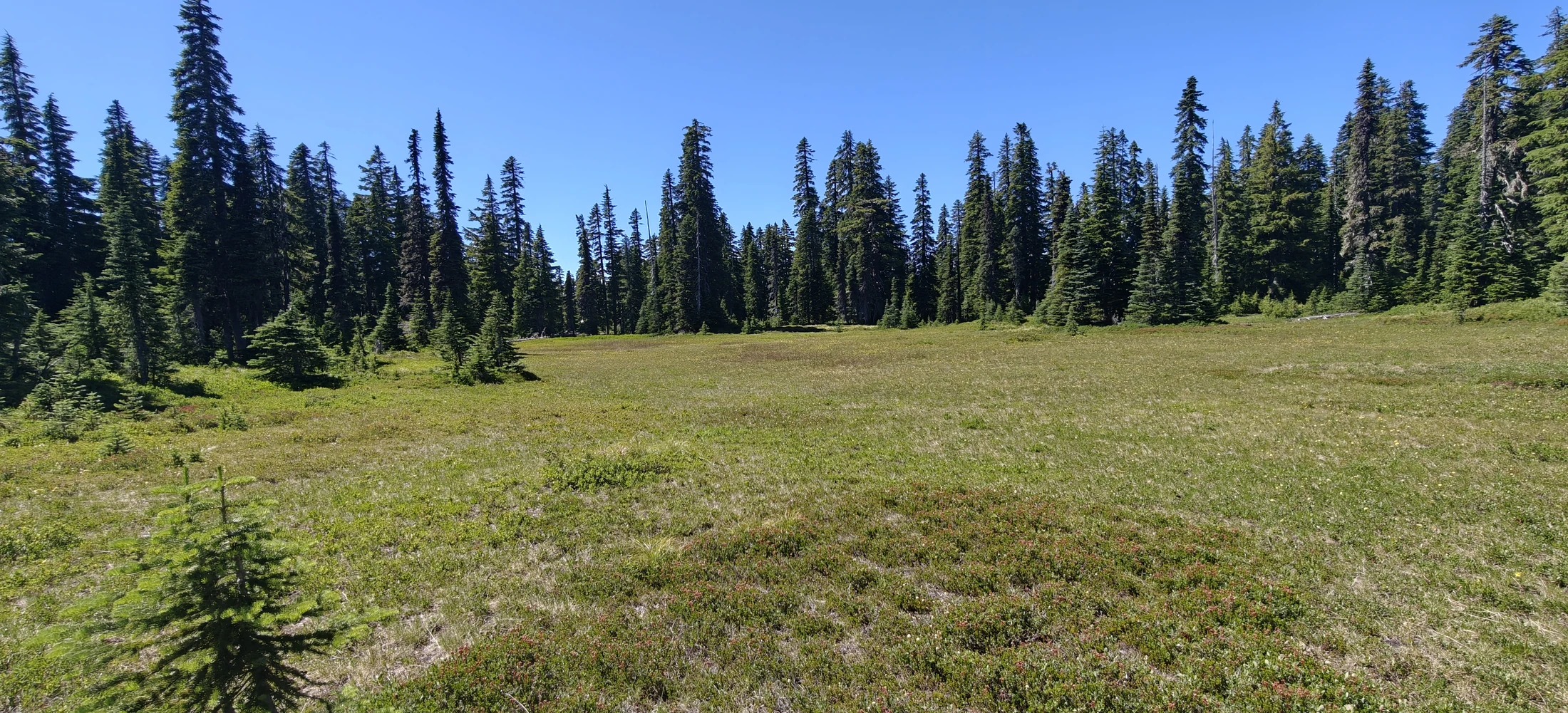 EastCrater-Lemei-IMG20260712144631
