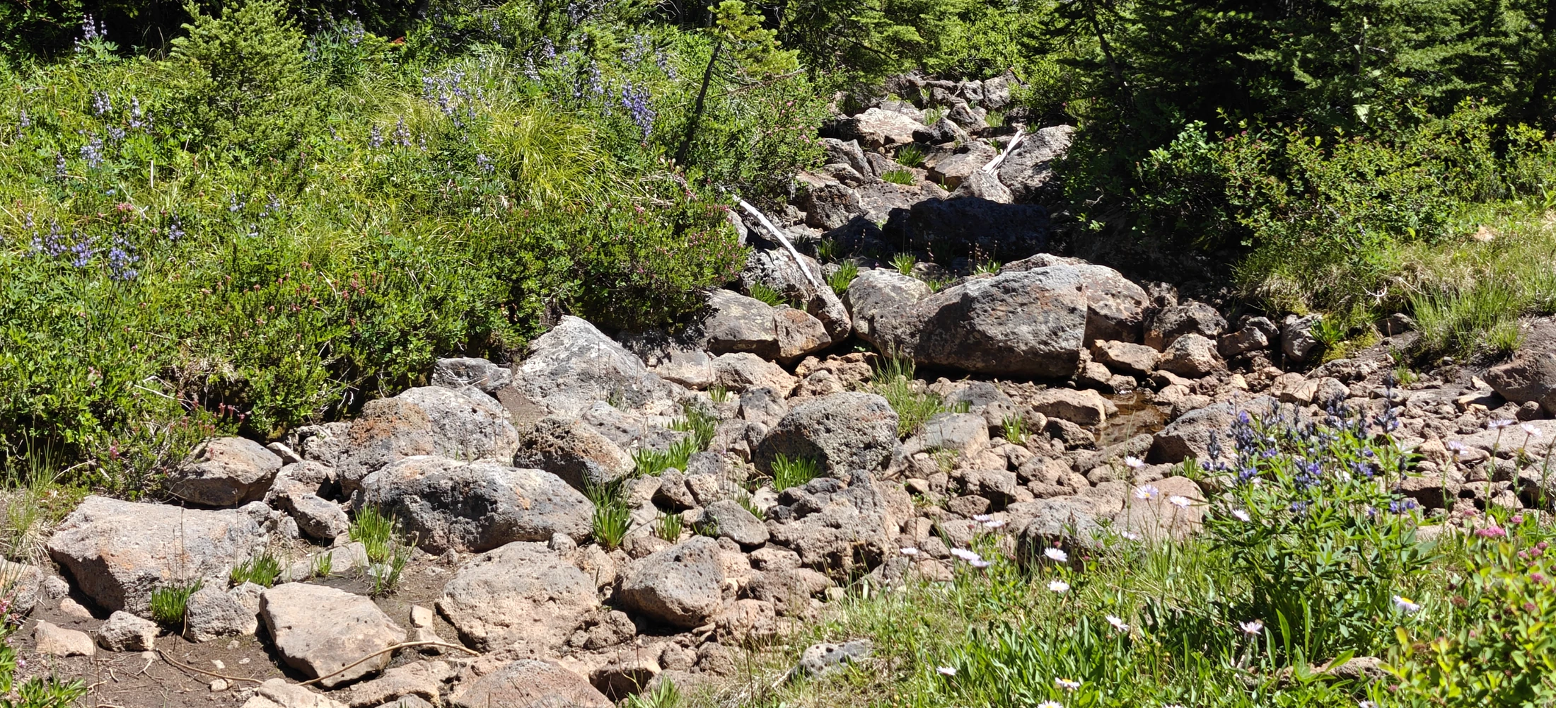 EastCrater-Lemei-IMG20260712144952