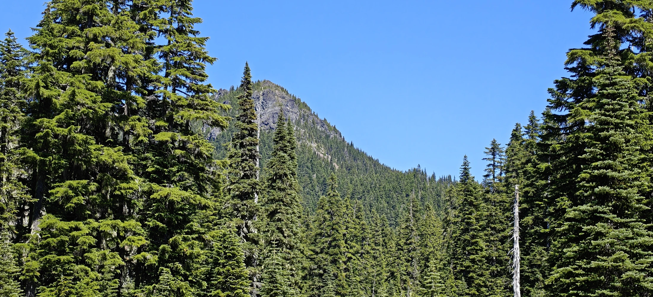 EastCrater-Lemei-IMG20260712145858