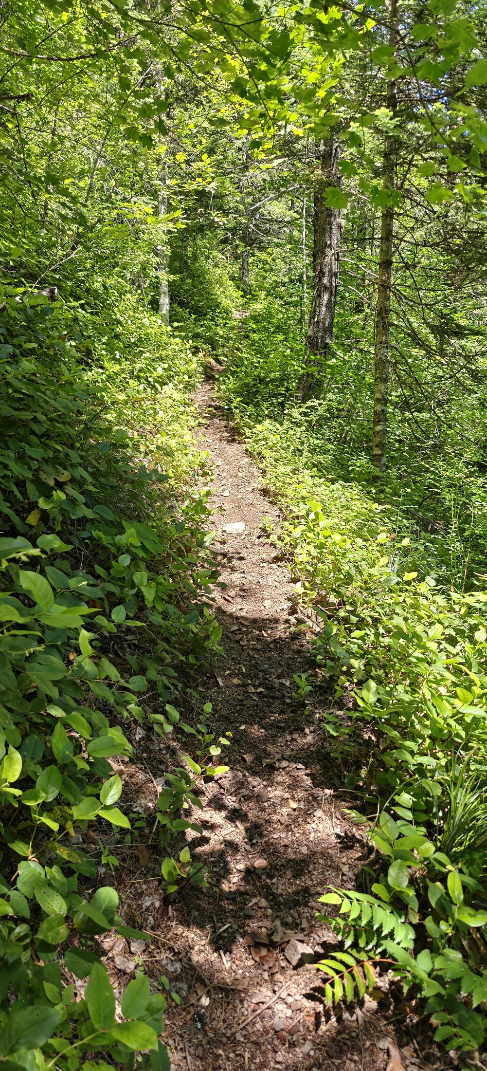 eastFork-IMG20260705141423