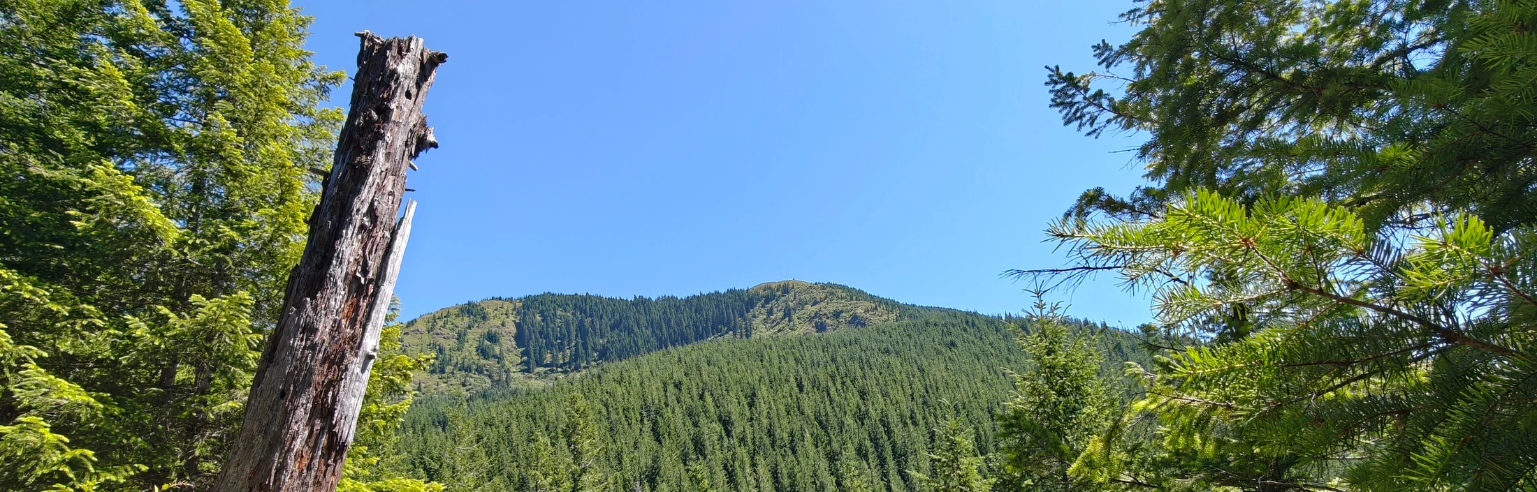 eastFork-IMG20260705144740