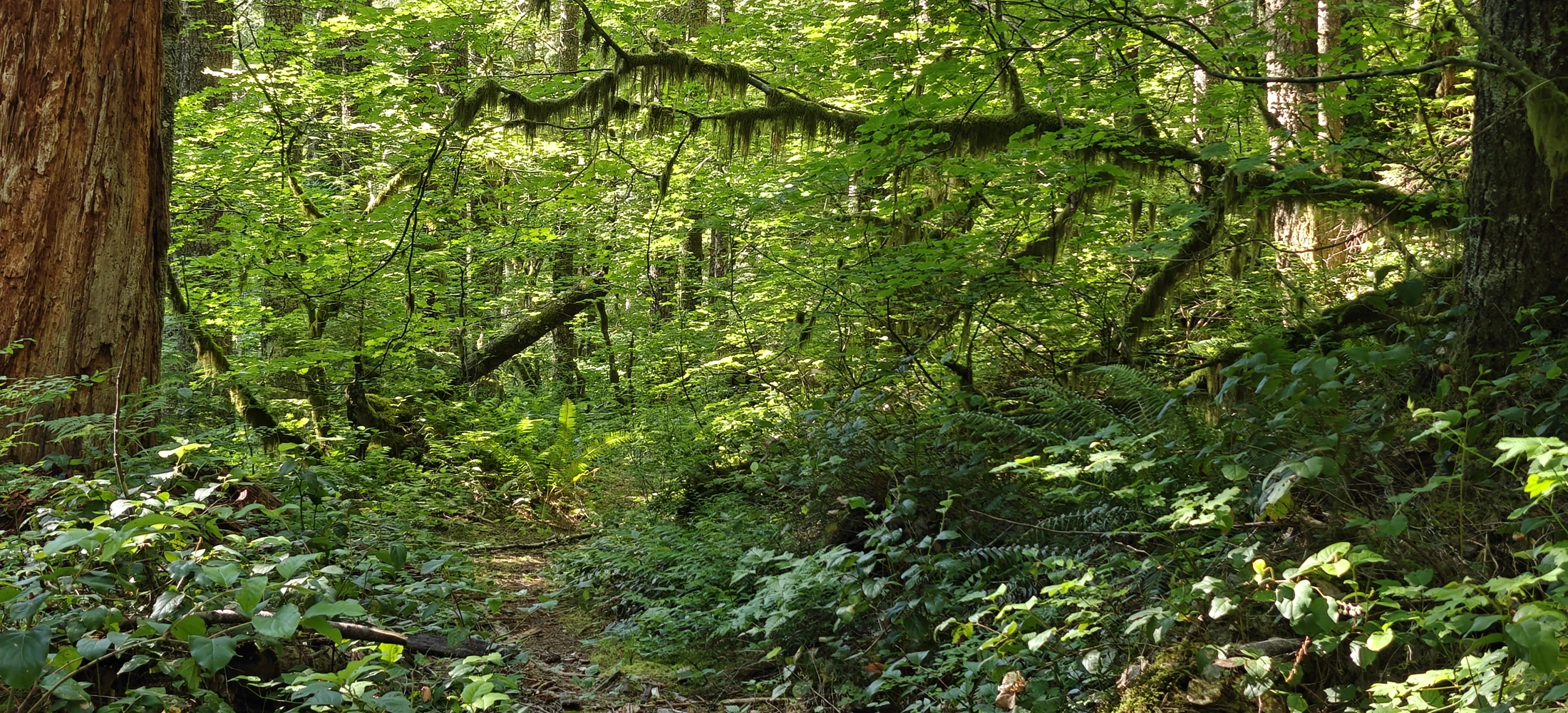 eastFork-IMG20260705165721