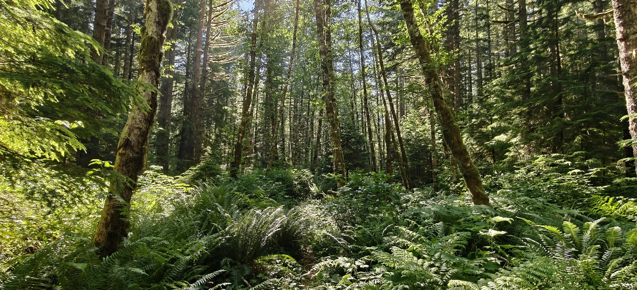 eastFork-IMG20260705171357