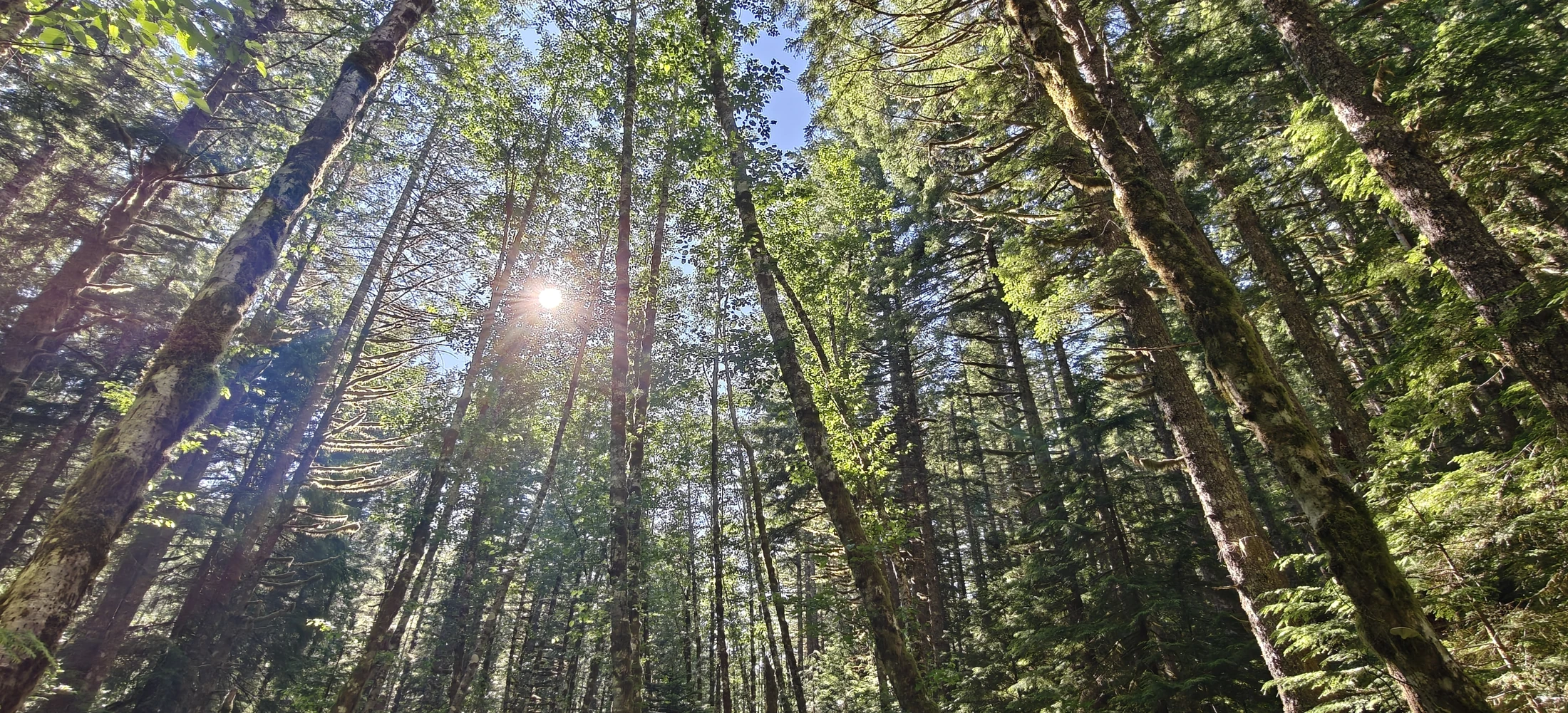 eastFork-IMG20260705171359